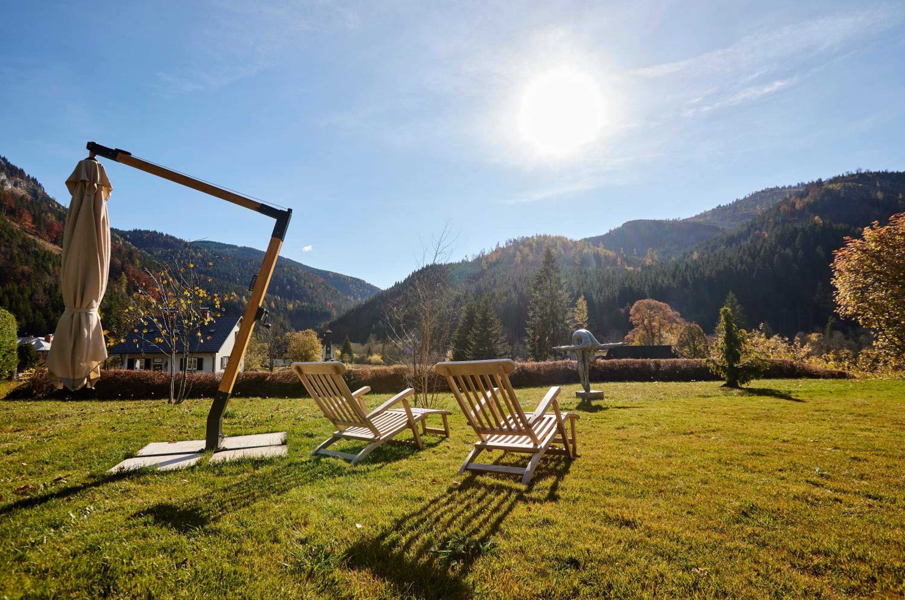 Frein Chalets - Wildalm view 4