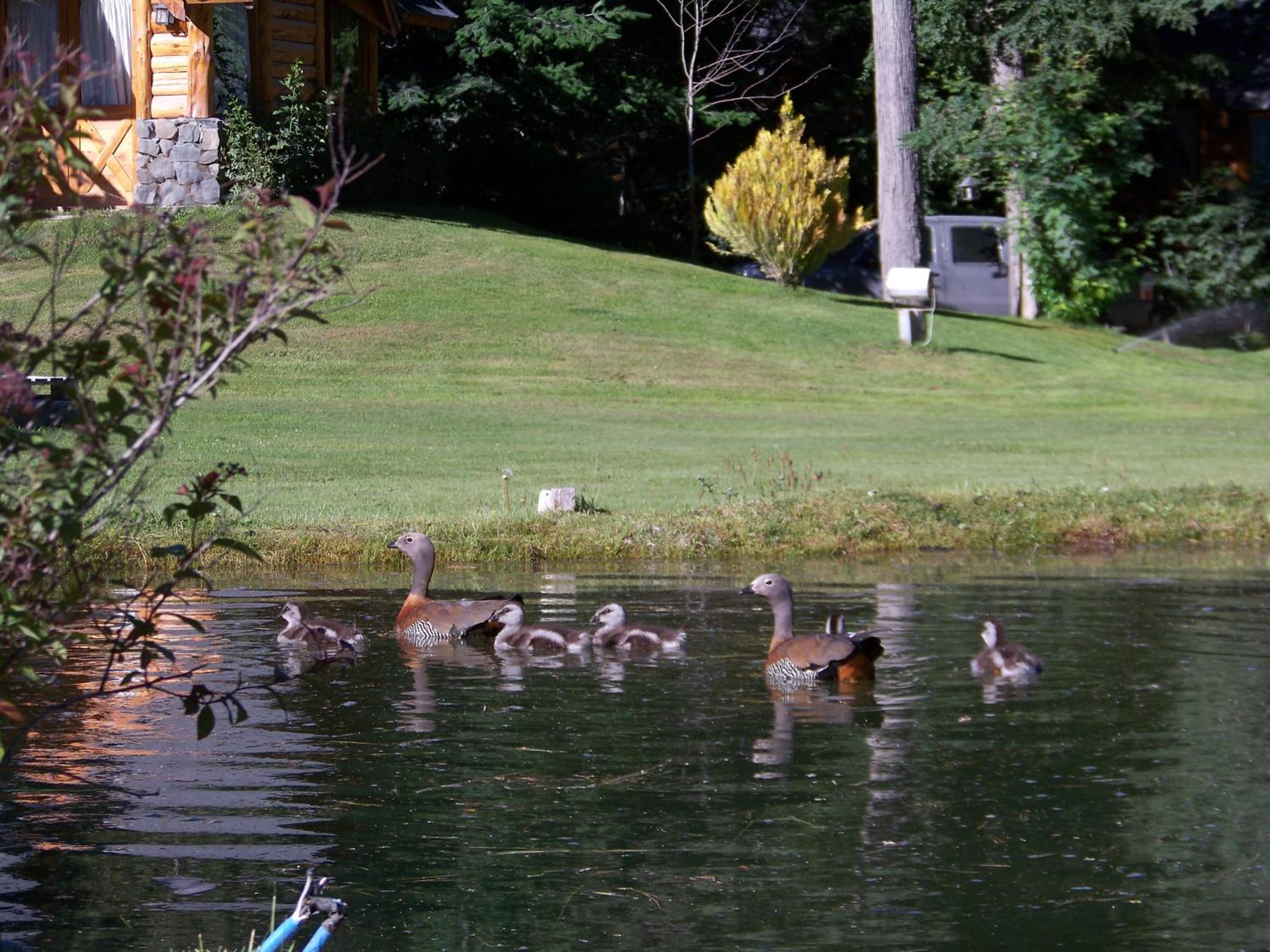 La Estancia Cabañas