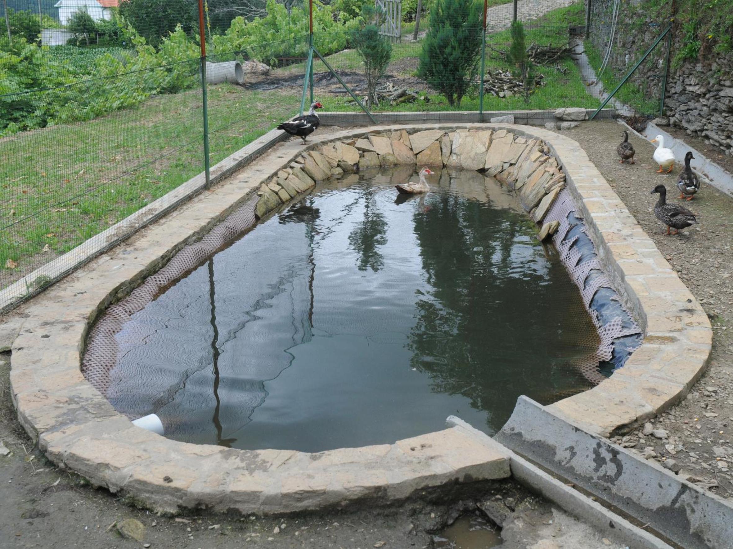 Photo 42