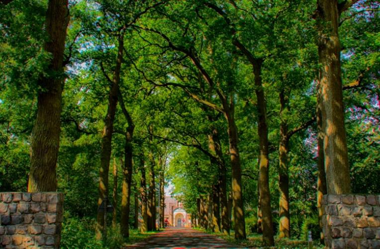 Guesthouse Valkenswaard - Property Image 7