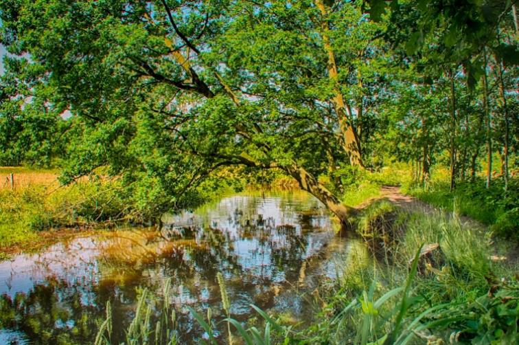 Guesthouse Valkenswaard - Property Image 6