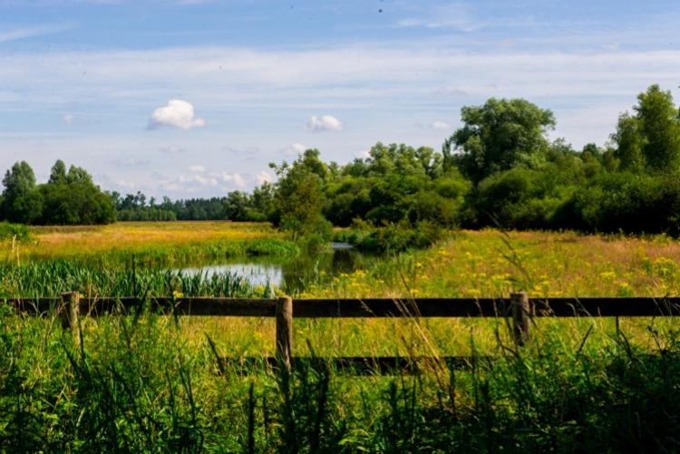 Guesthouse Valkenswaard - Property Image 5