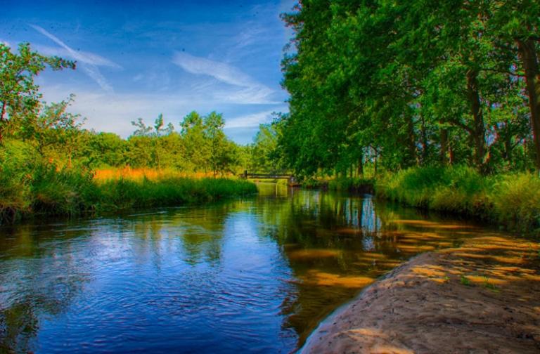 Guesthouse Valkenswaard - Property Image 4