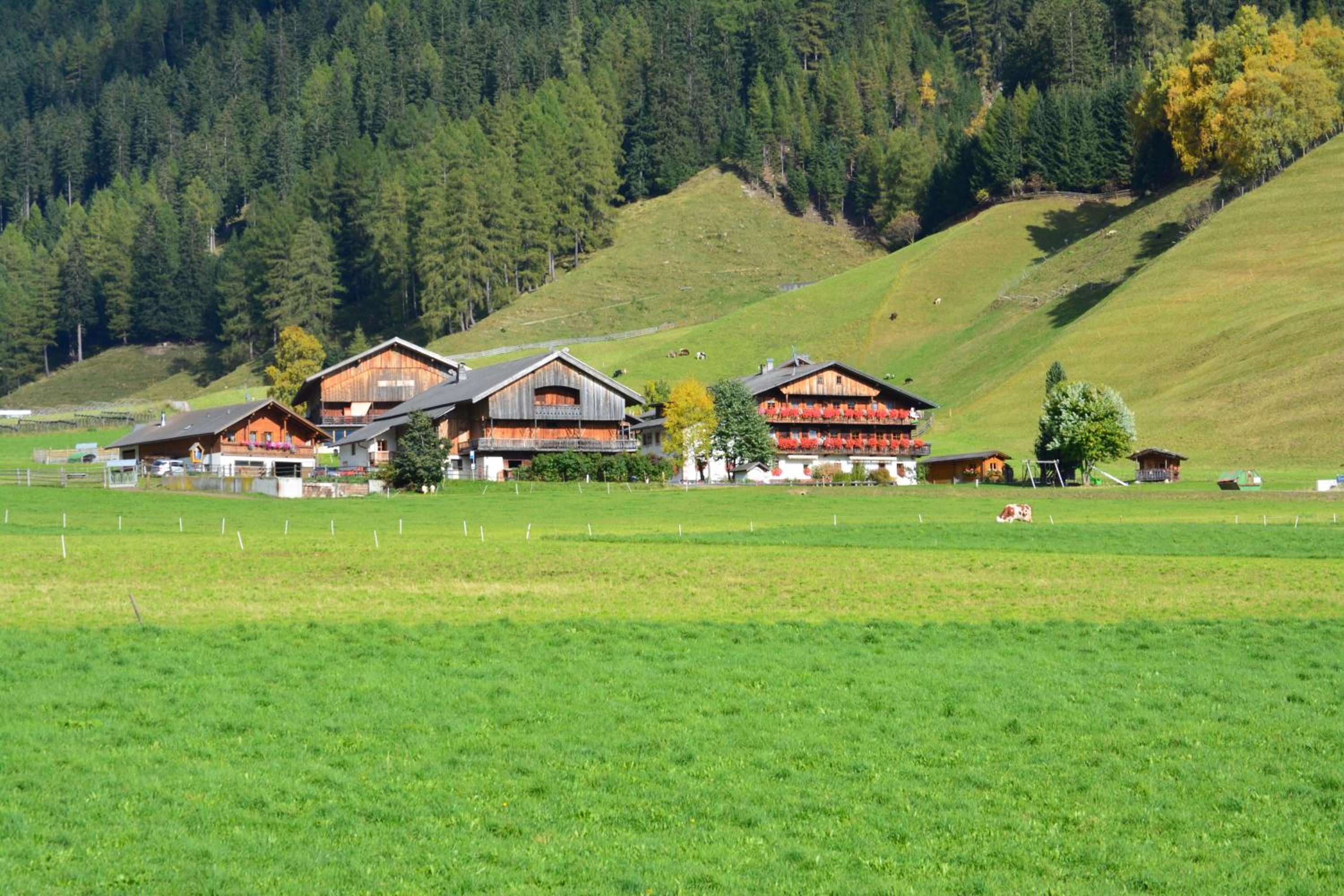 Kradorferhof view 4