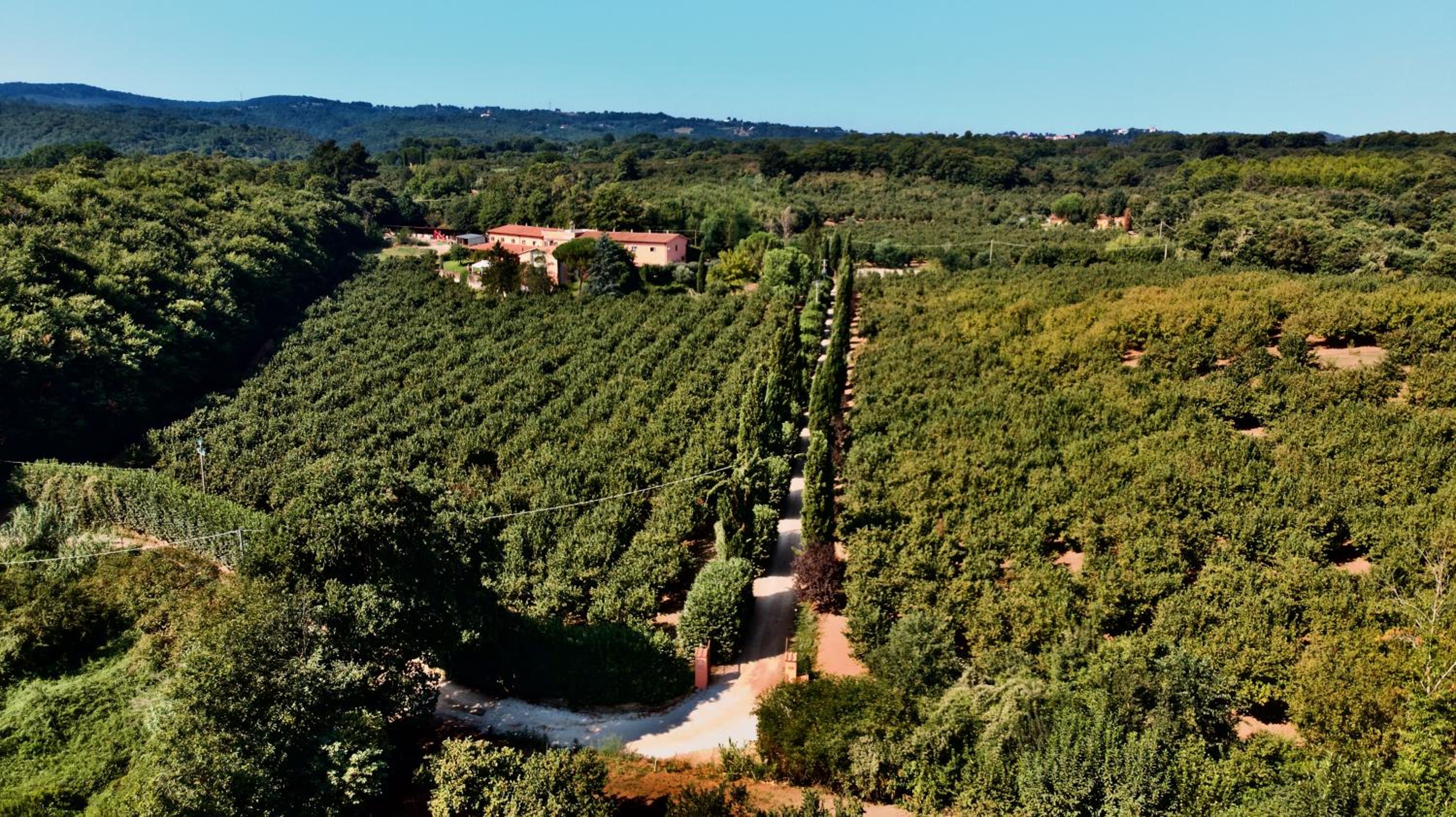 Agriturismo Montefosco