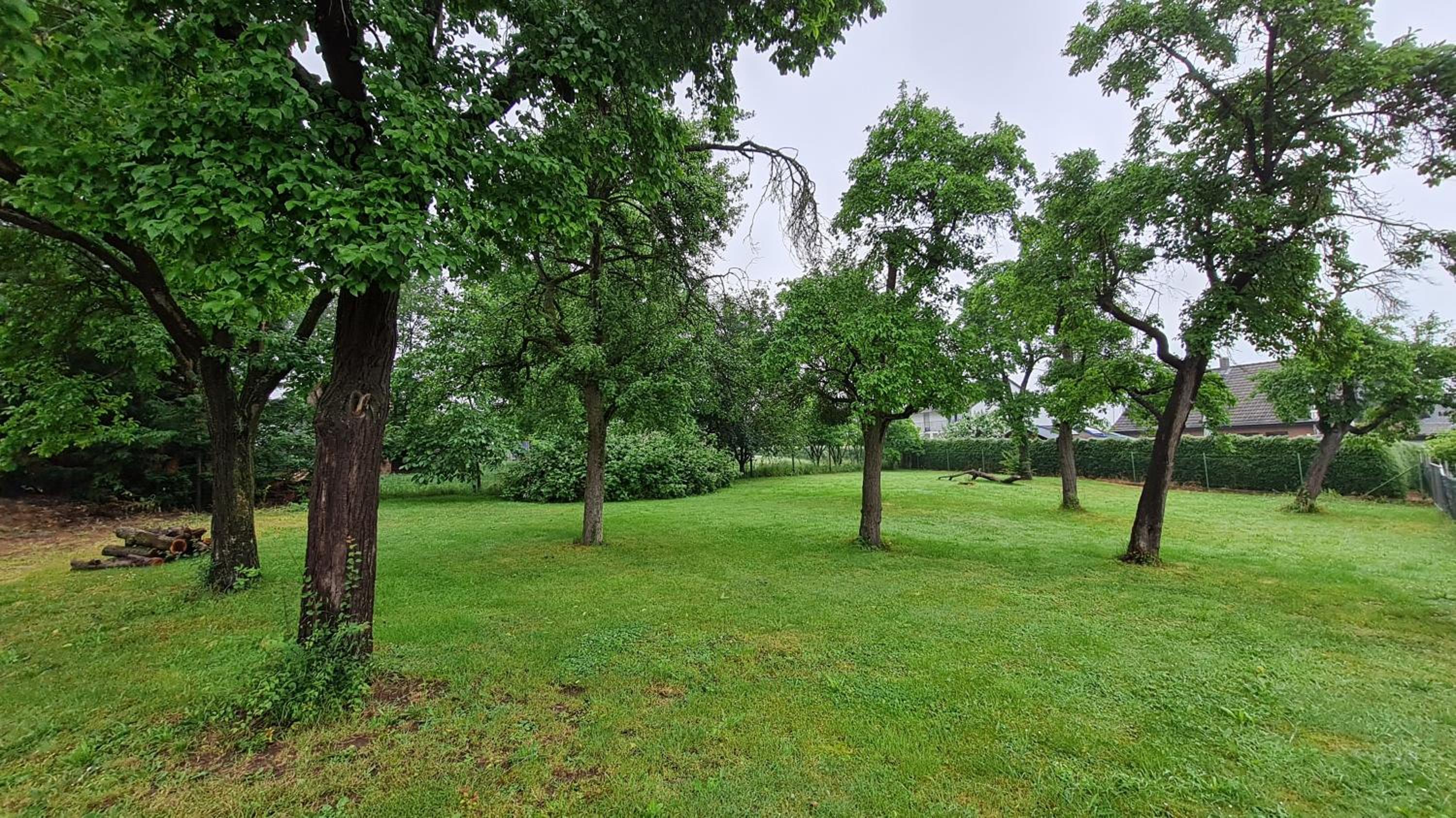 Eifelhof mit Obstbaumwiese