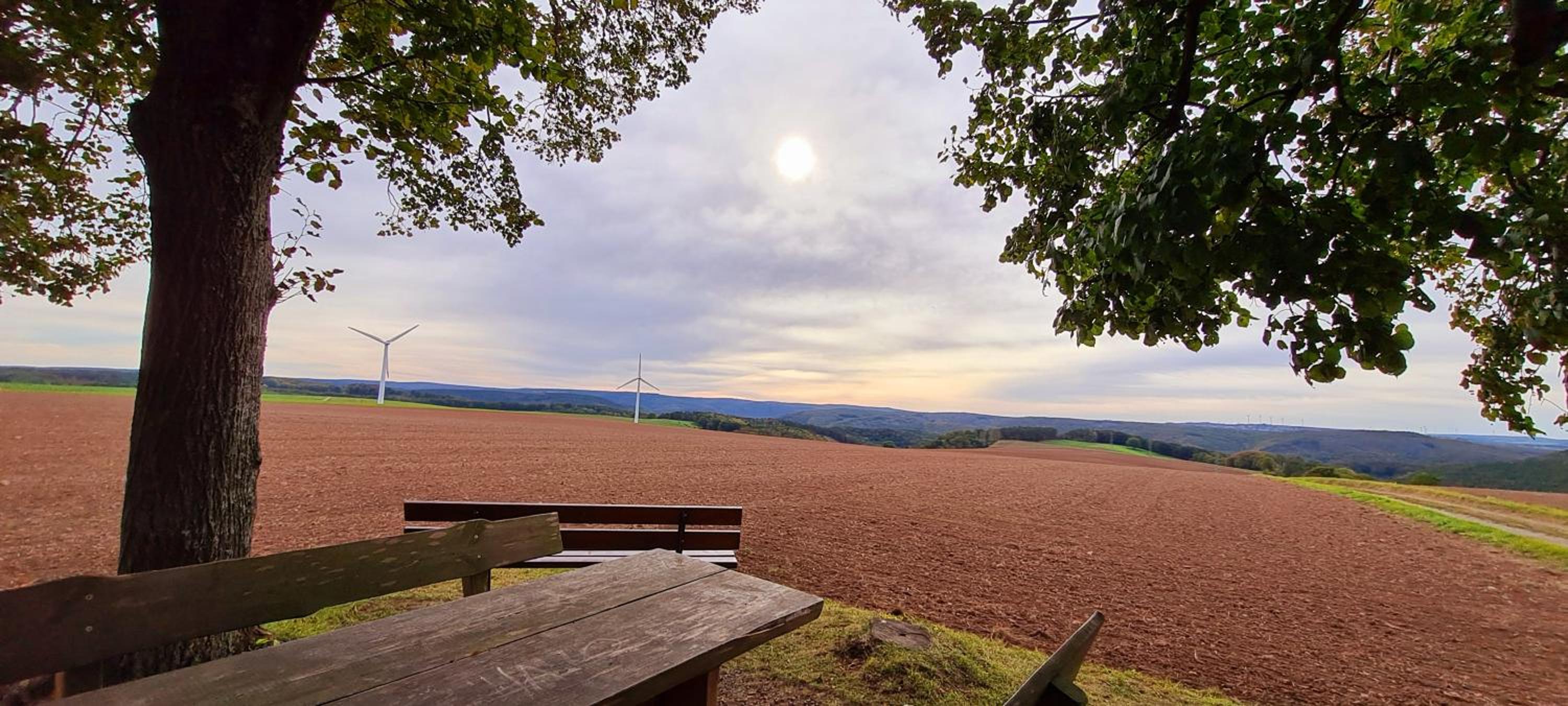 Eifelhof mit Obstbaumwiese