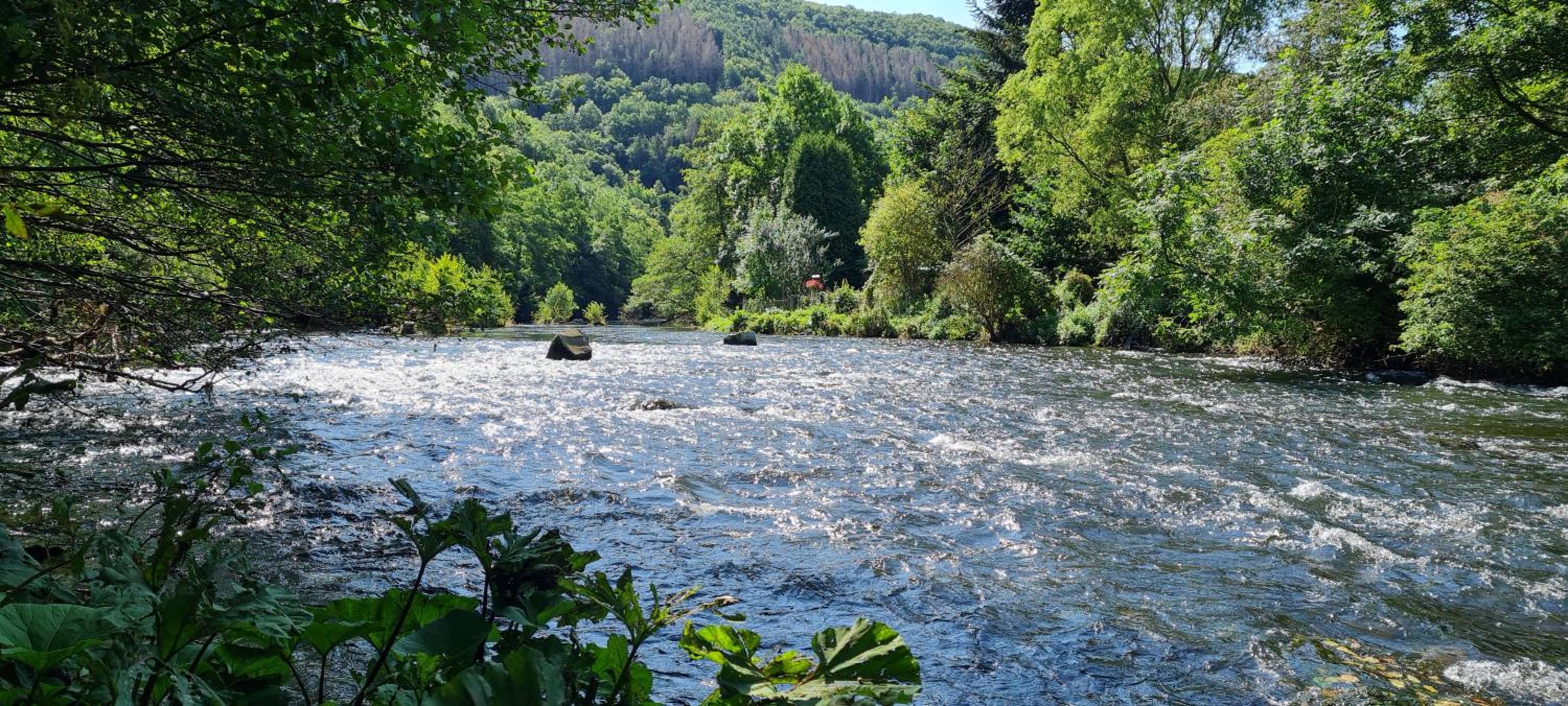 Eifelhof mit Obstbaumwiese