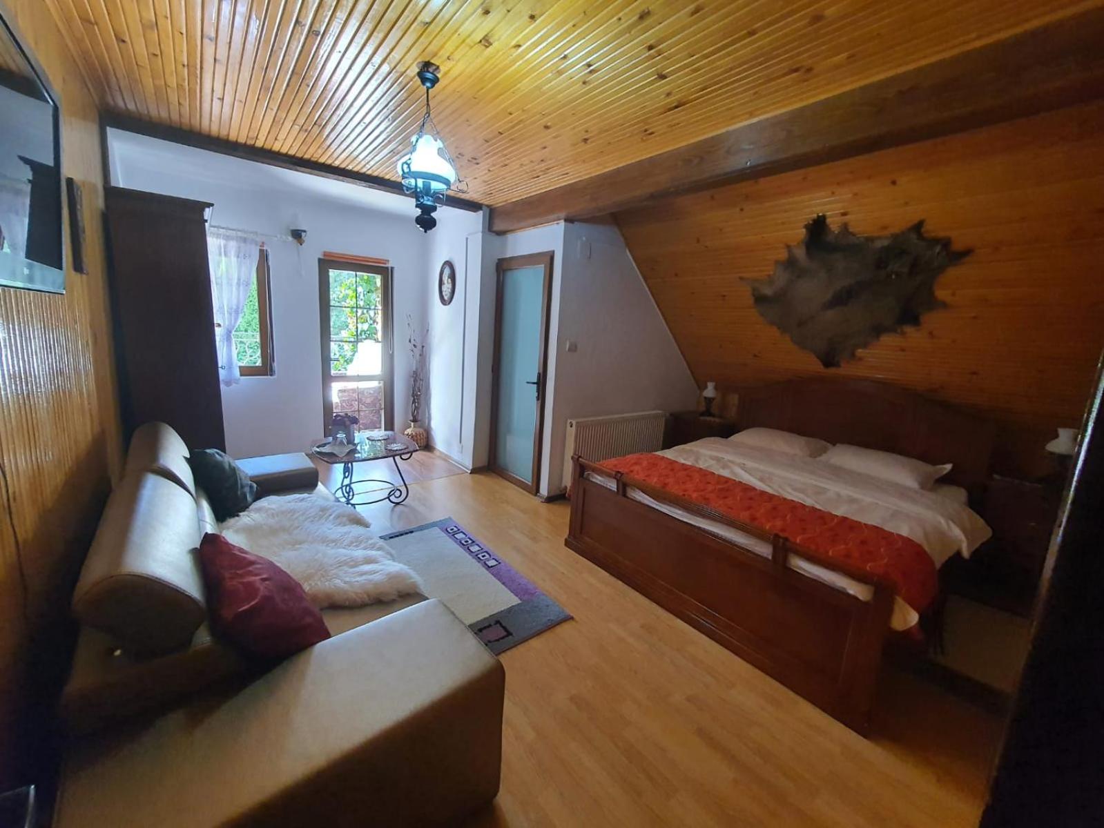 Casa Serban view 4