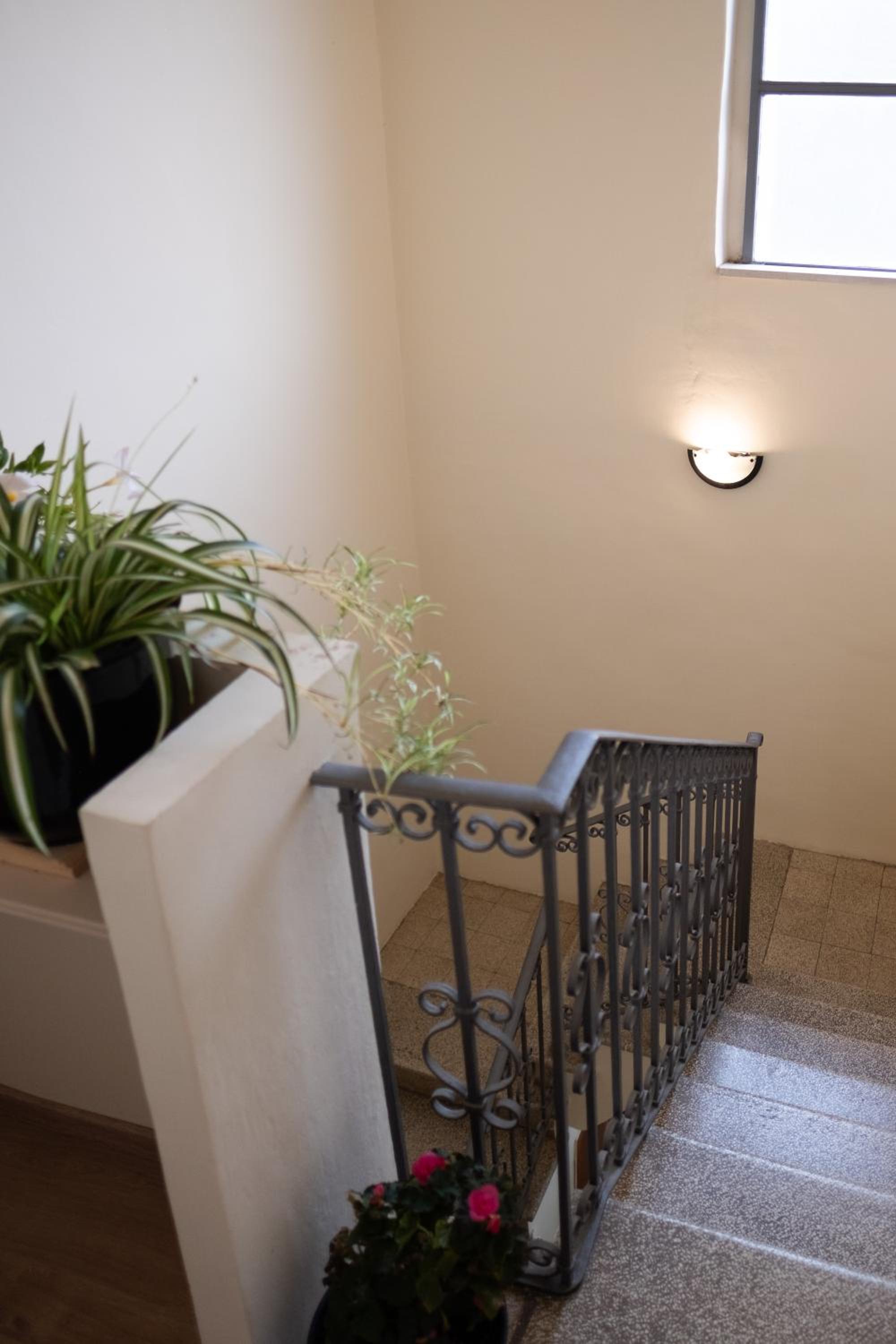 Casa Alina- Art House view 5