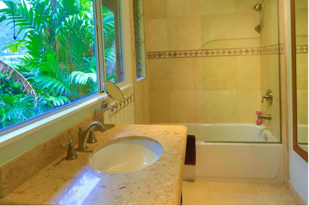 Waipio Valley Botanical Garden with Waterfall & Beach Access! view 4