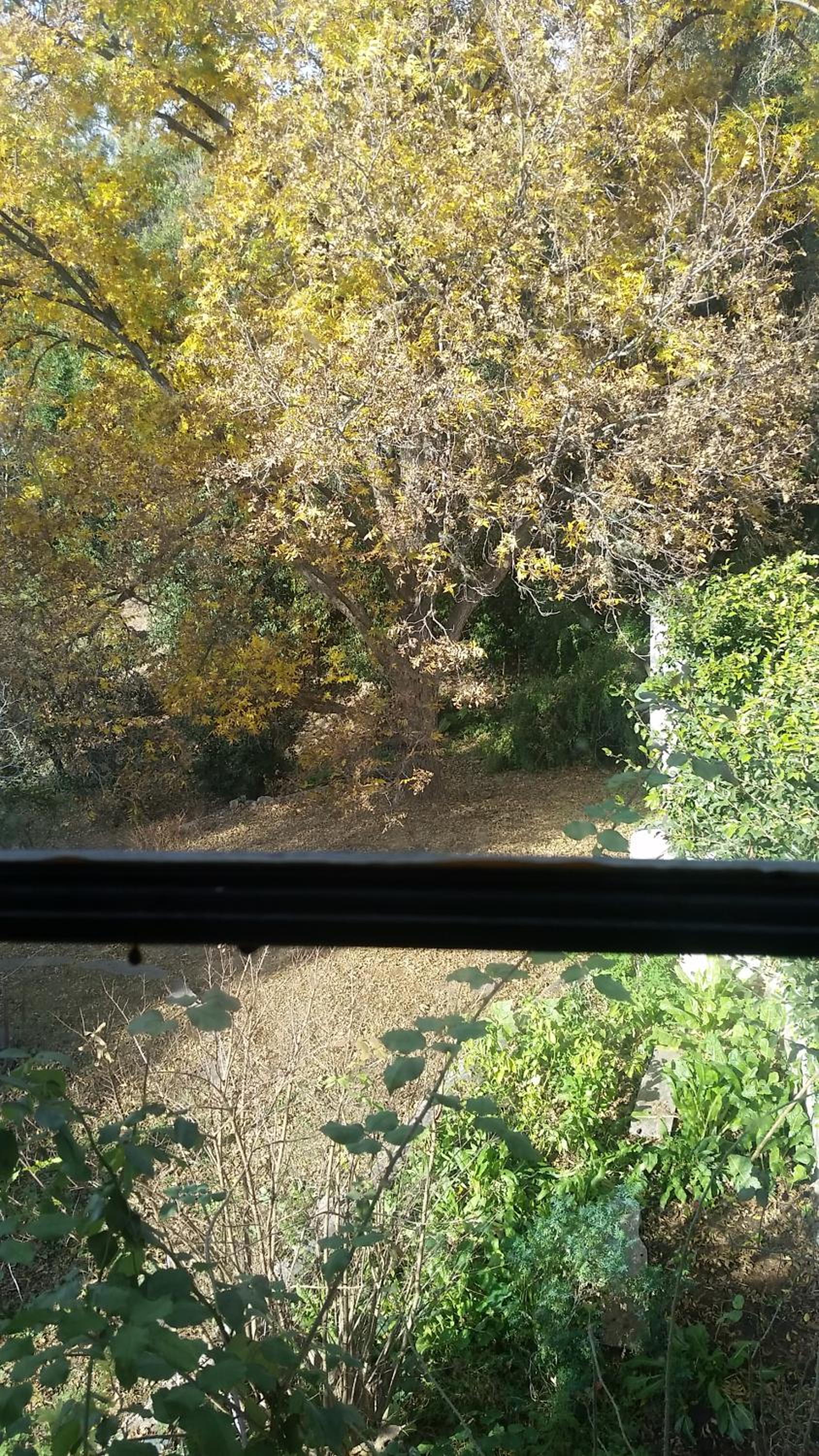 Terraza a las sierras