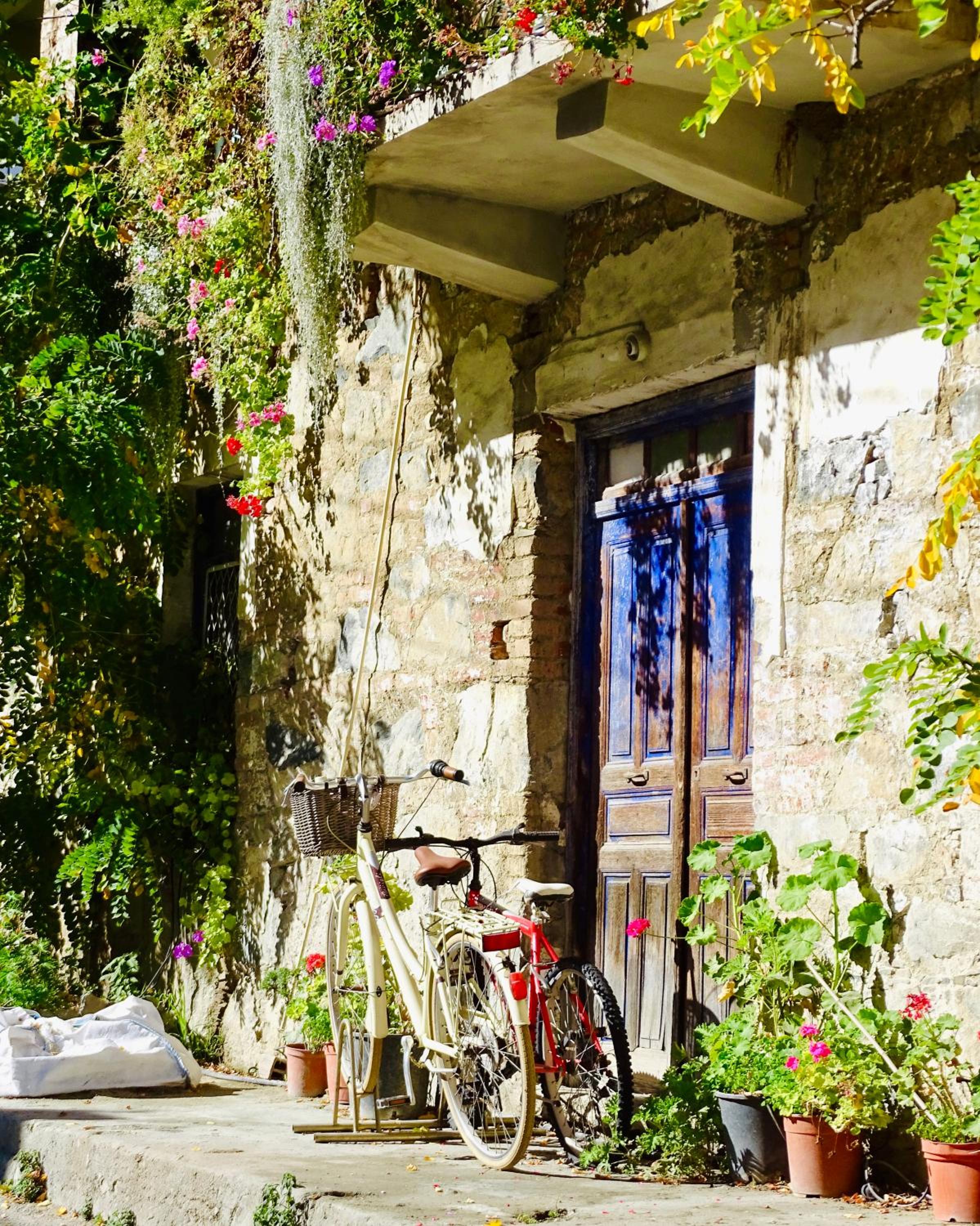 Sophias Cottage