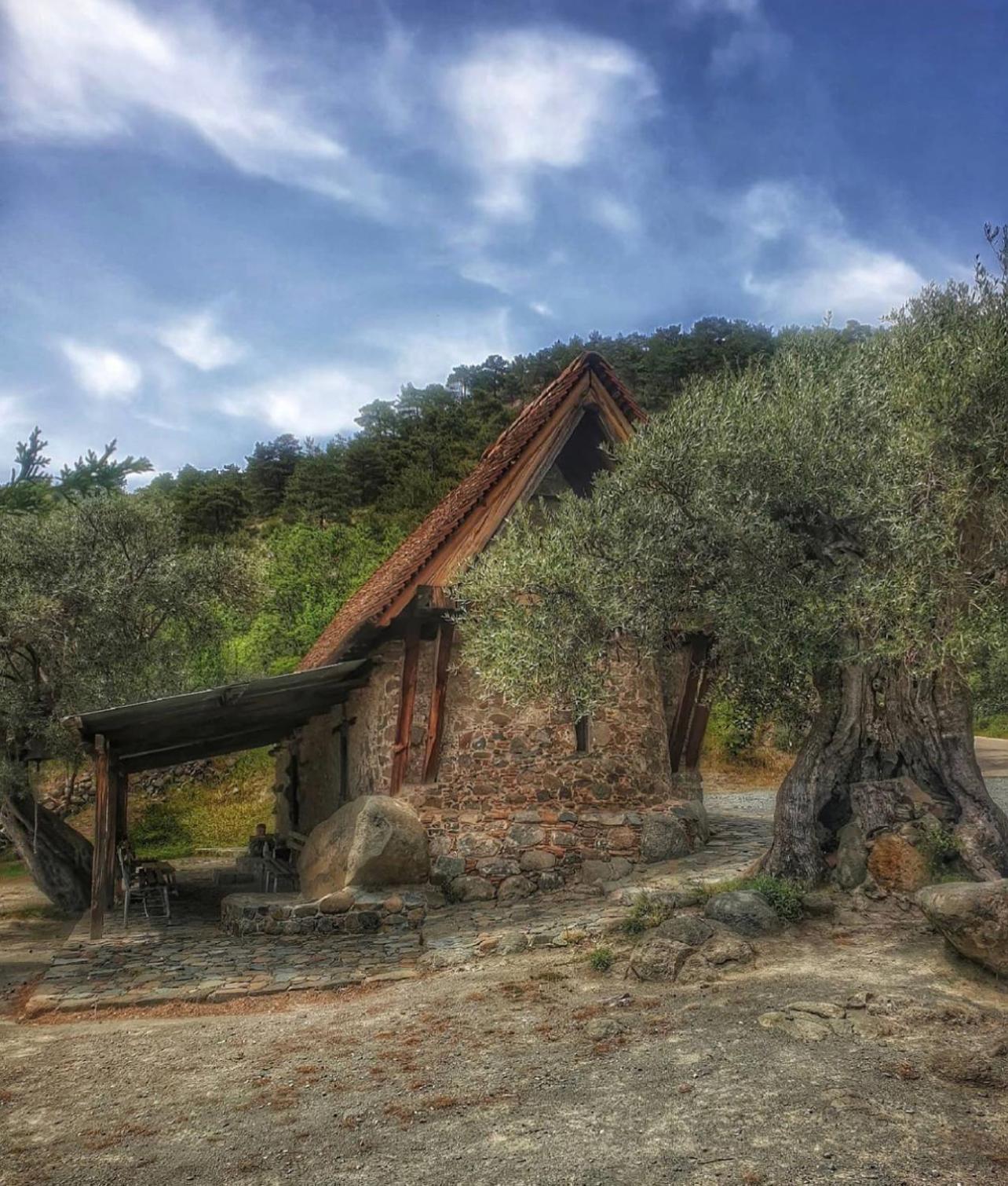 Sophias Cottage