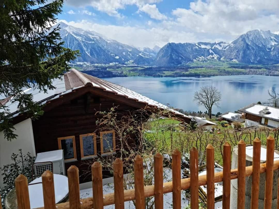 Hotel Chalet With View Of The Mountains And The Thun Lake