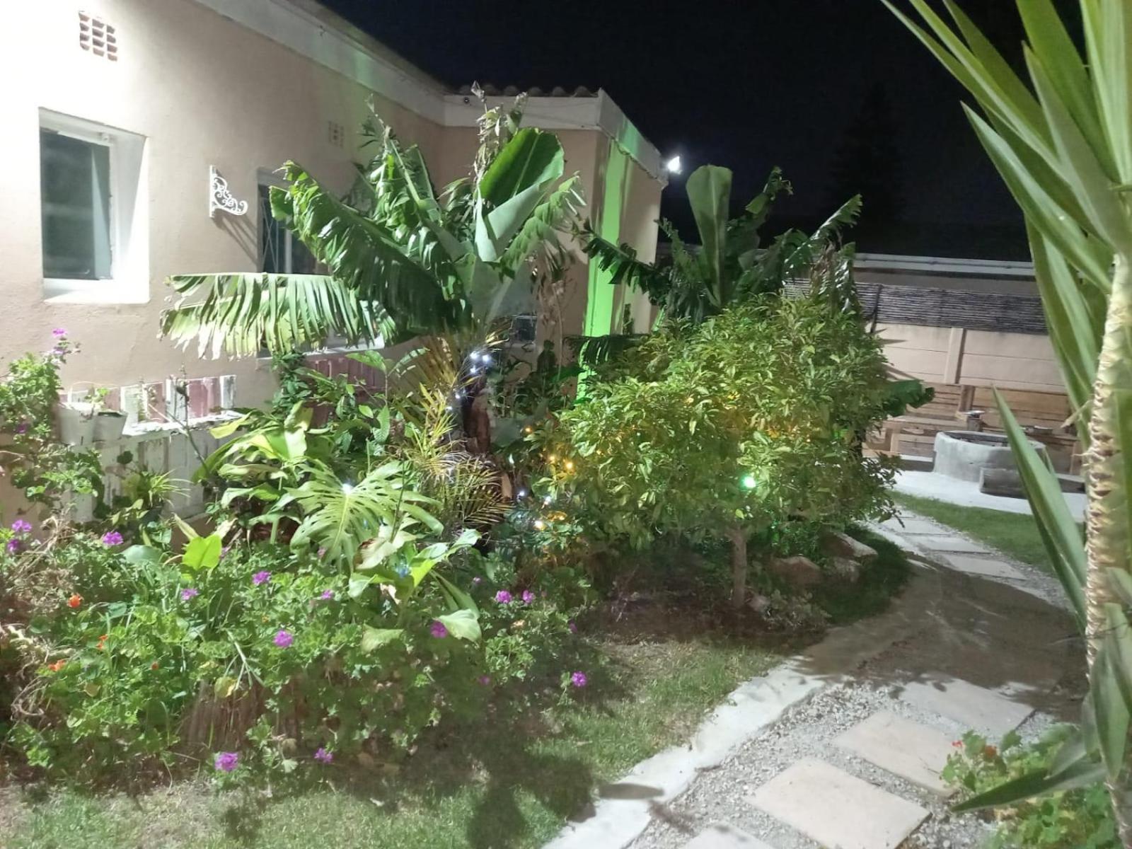 Photo 42