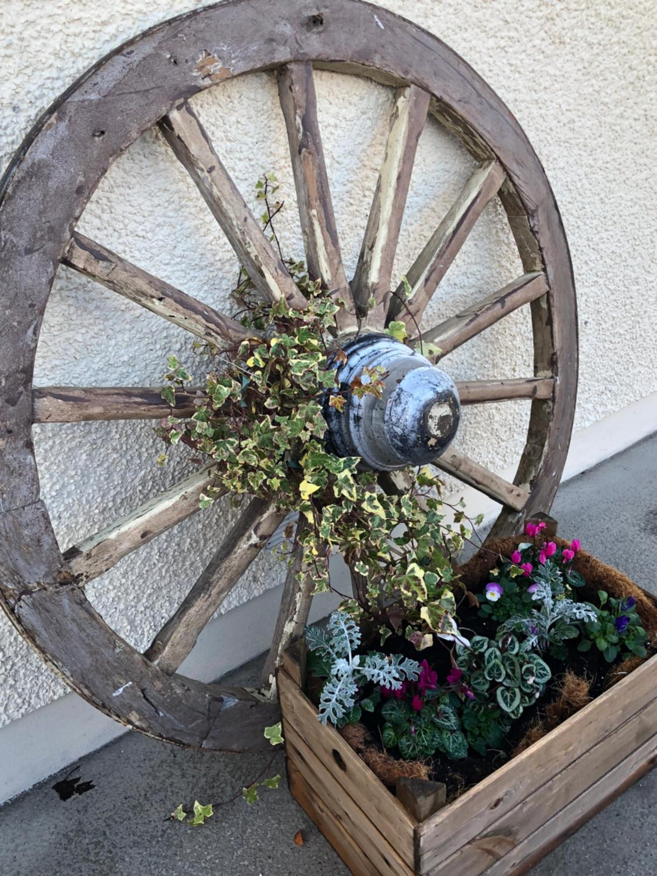 Photo 19