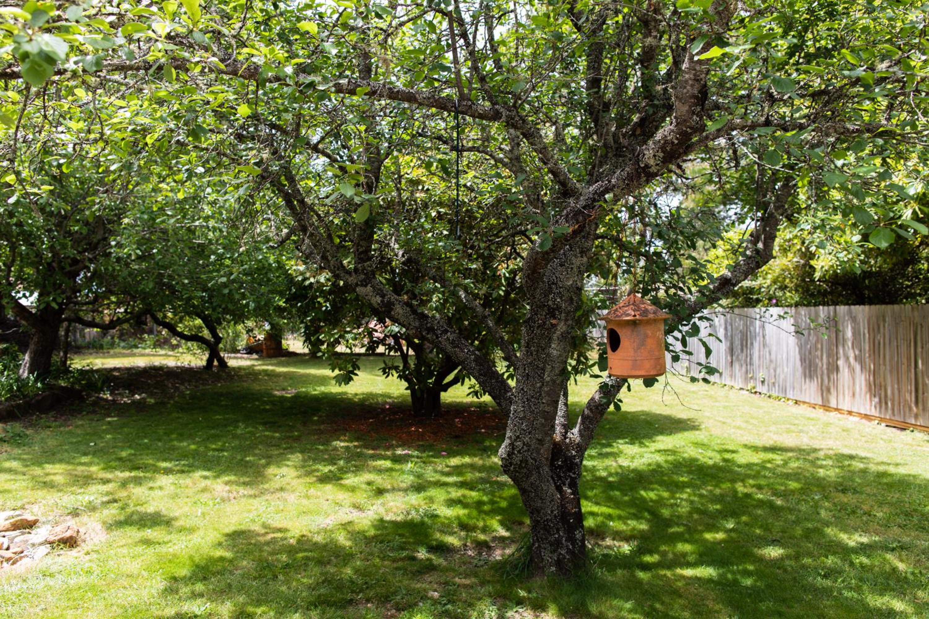 Photo 7
