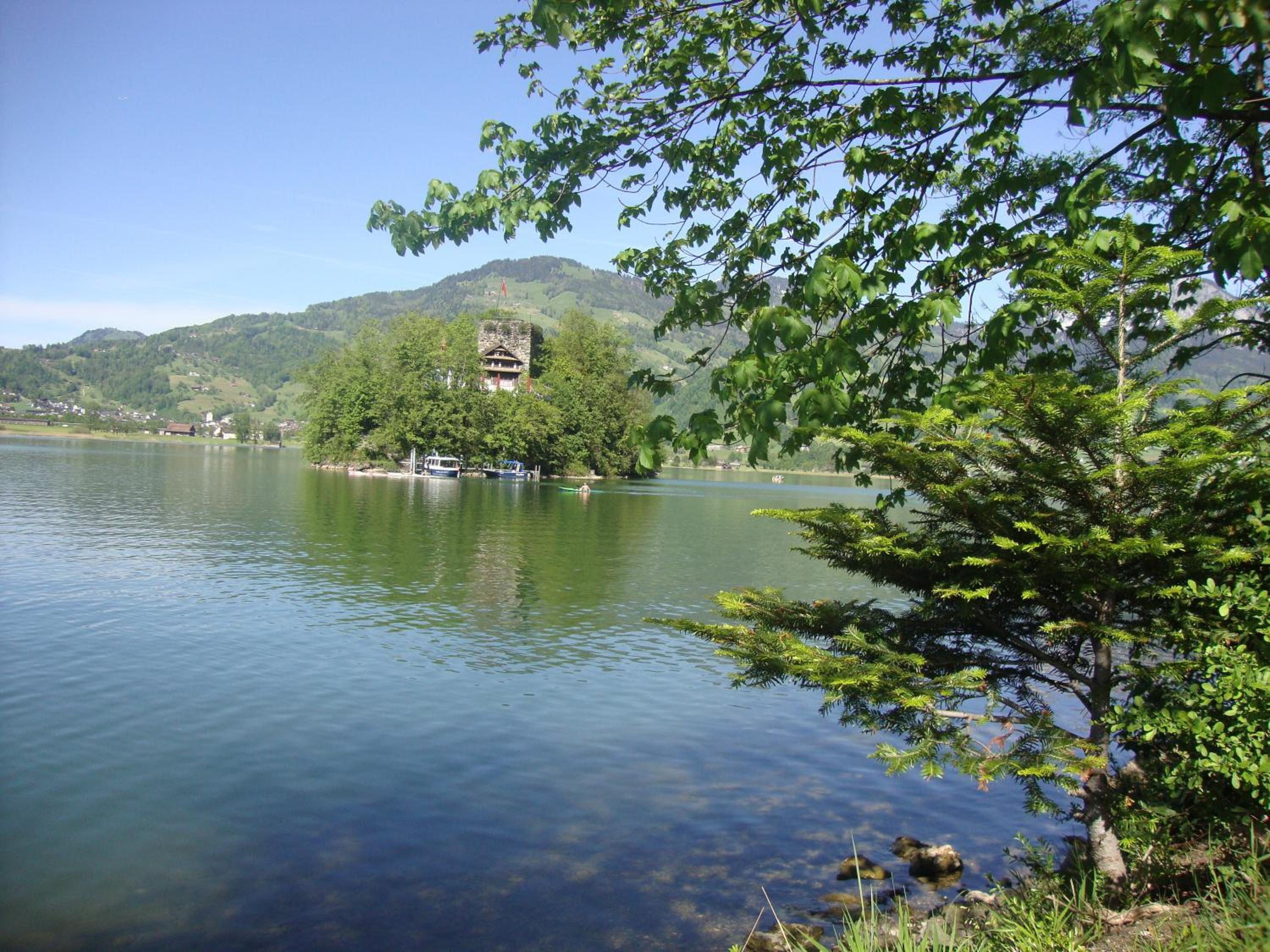 Hirschfarm, Goldau