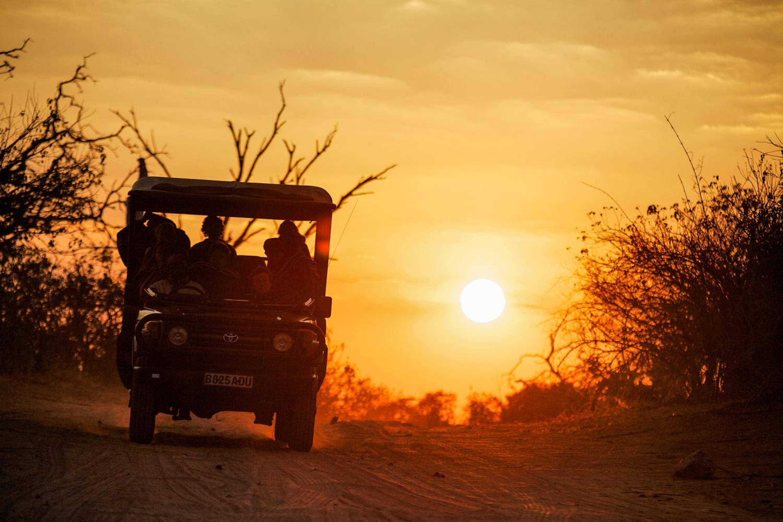 The Chobe Safari Lodge