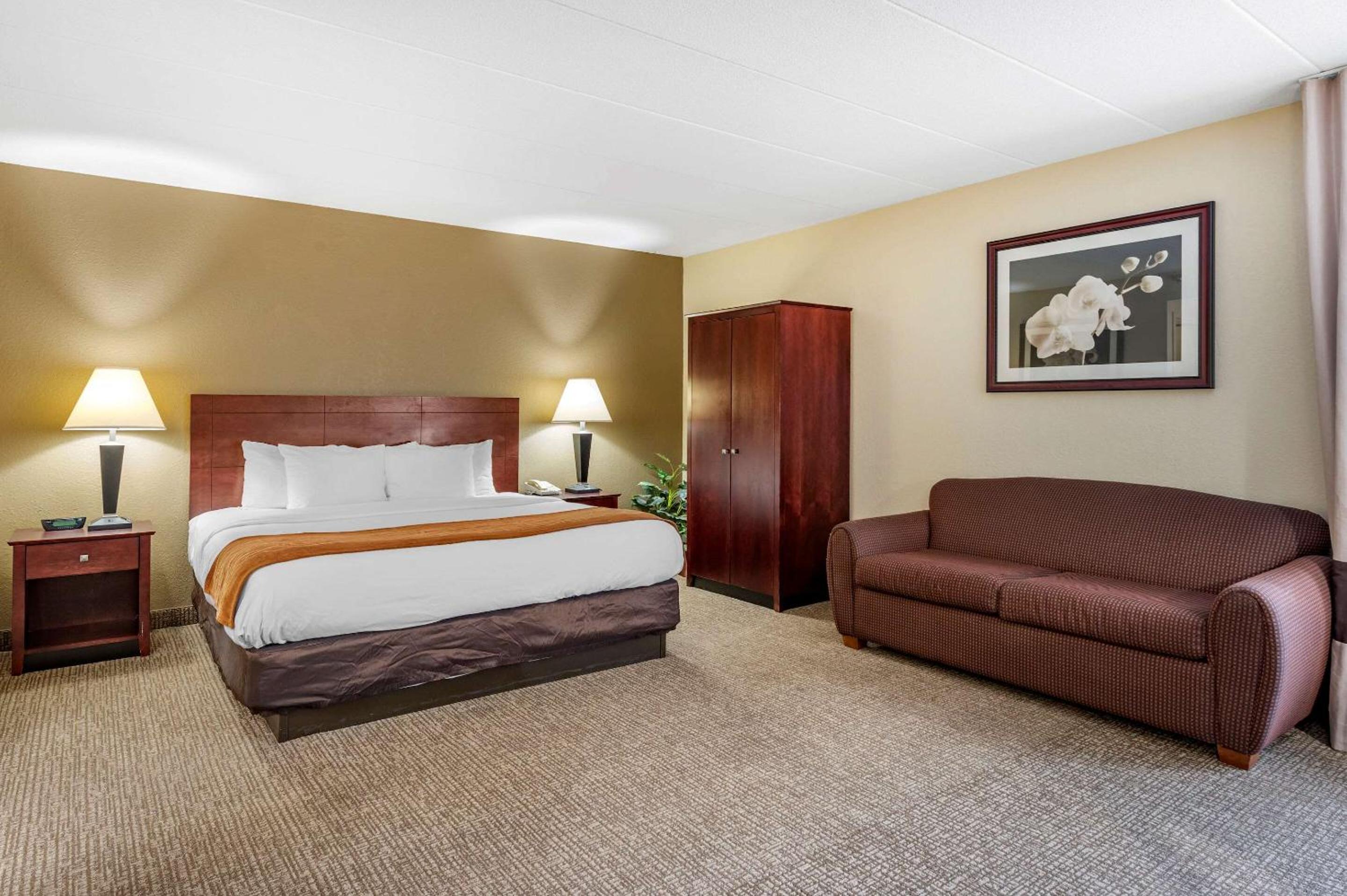 Comfort Inn Cincinnati Northeast, Foto 35