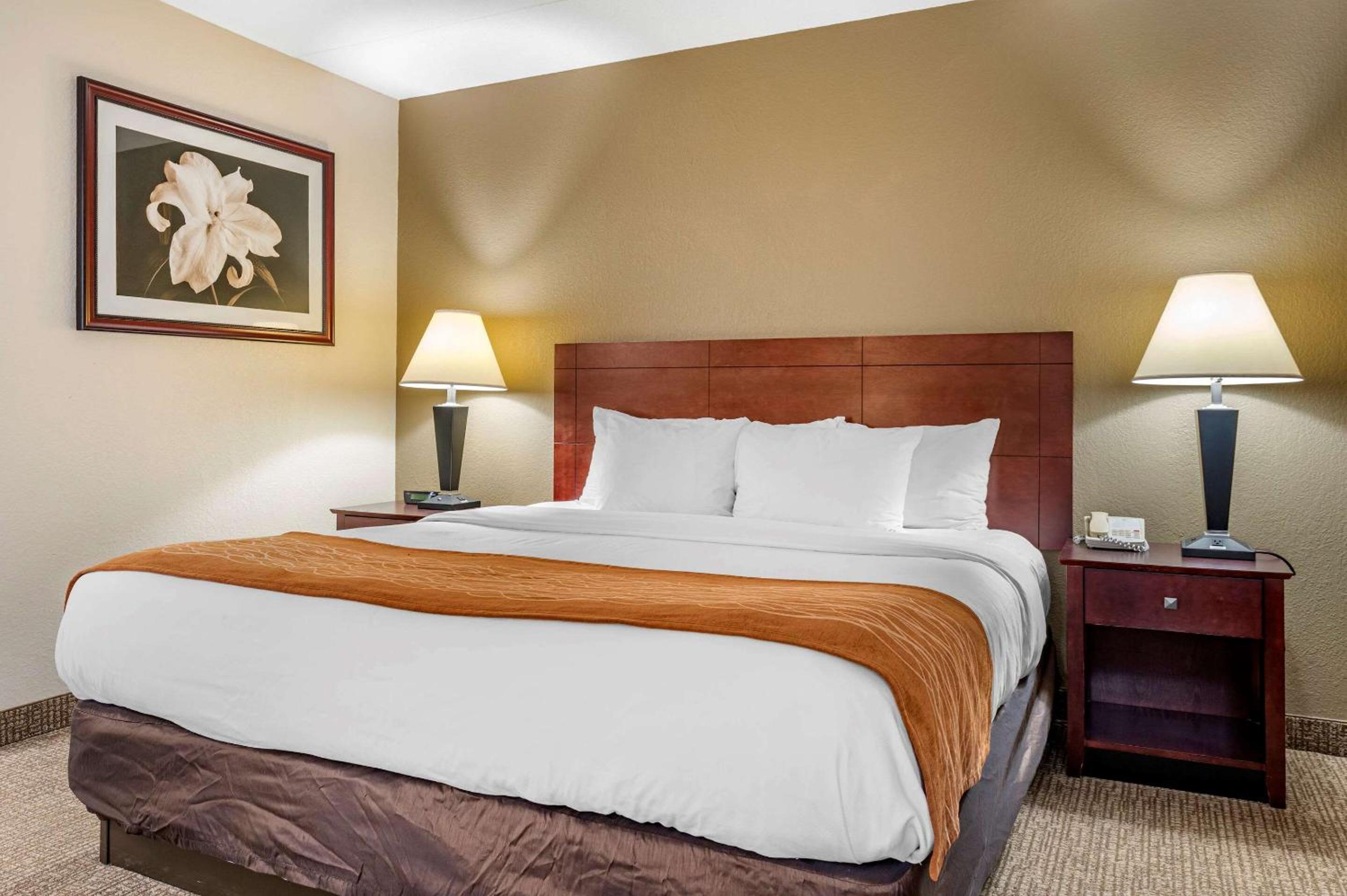 Comfort Inn Cincinnati Northeast, Foto 31