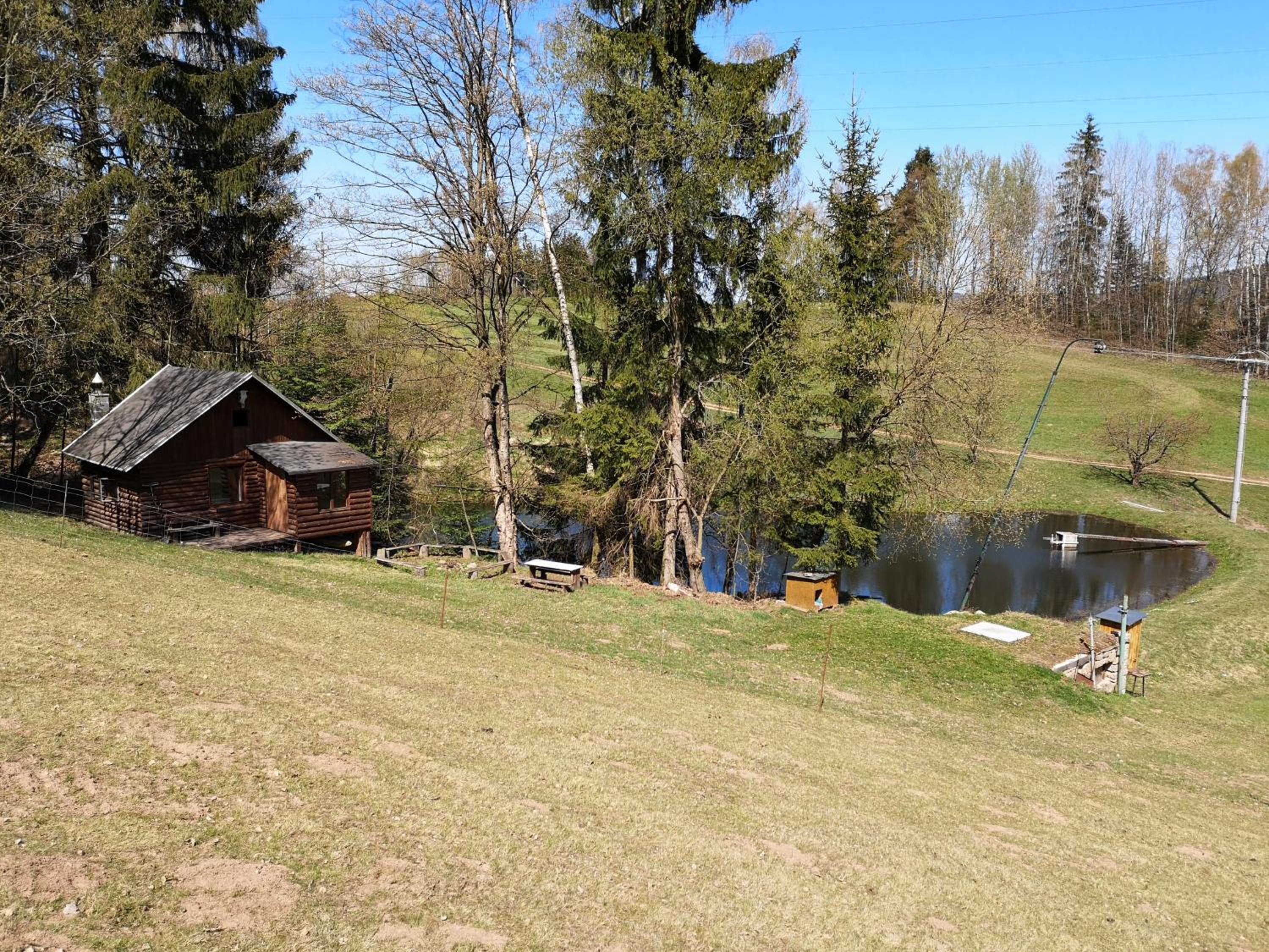 Photo 21