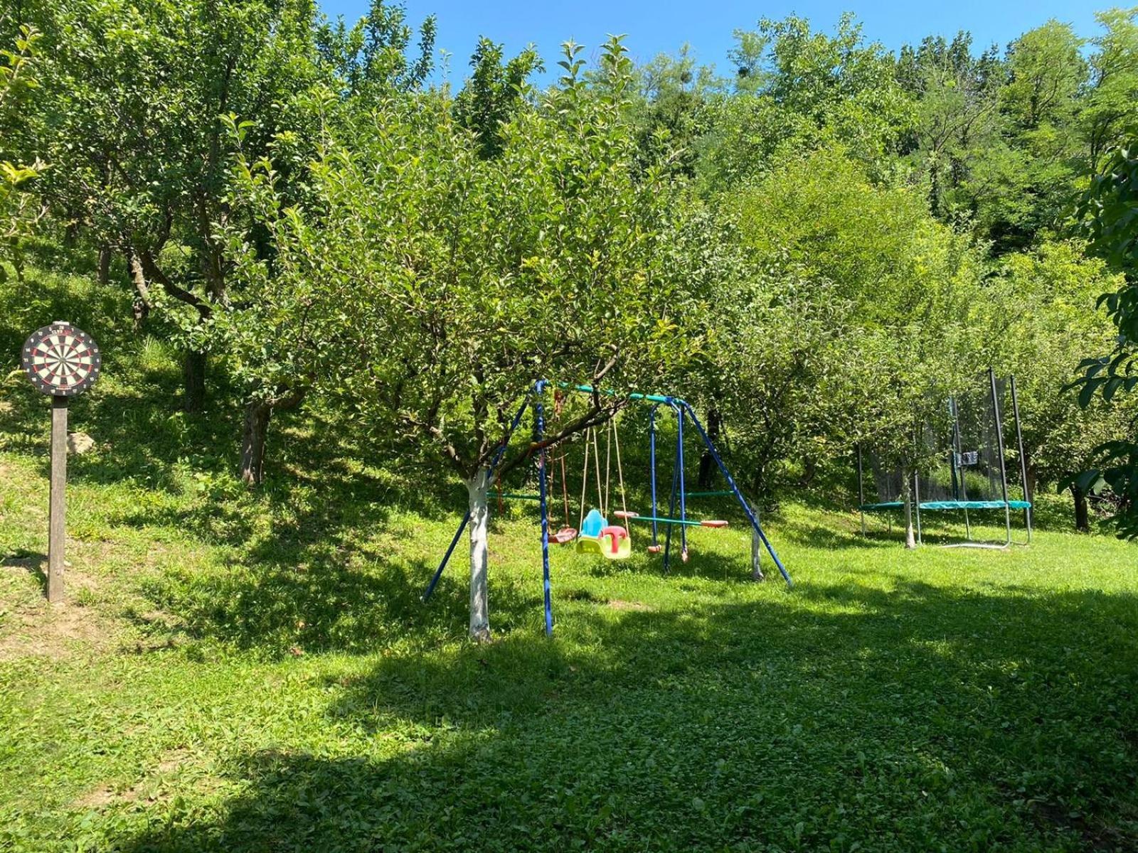 Photo 35