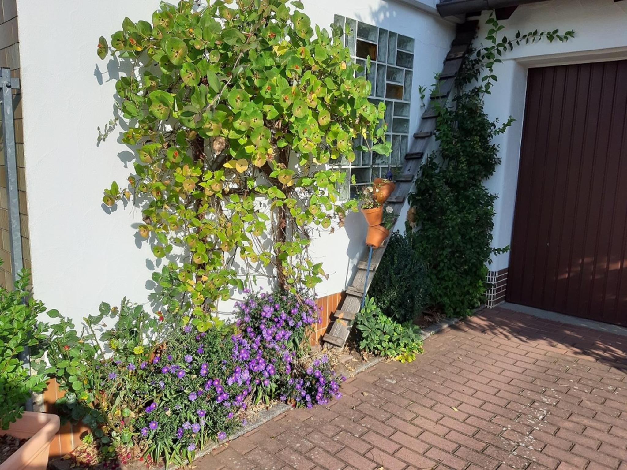 Ferienwohnung Maroldsweisach