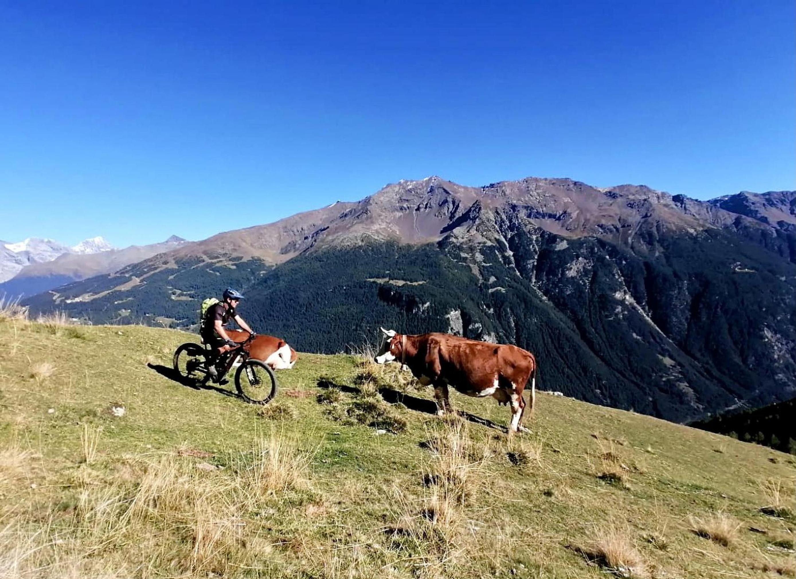 CASA CARCENTINA - fronte seggiovia, sulla pista Stelvio