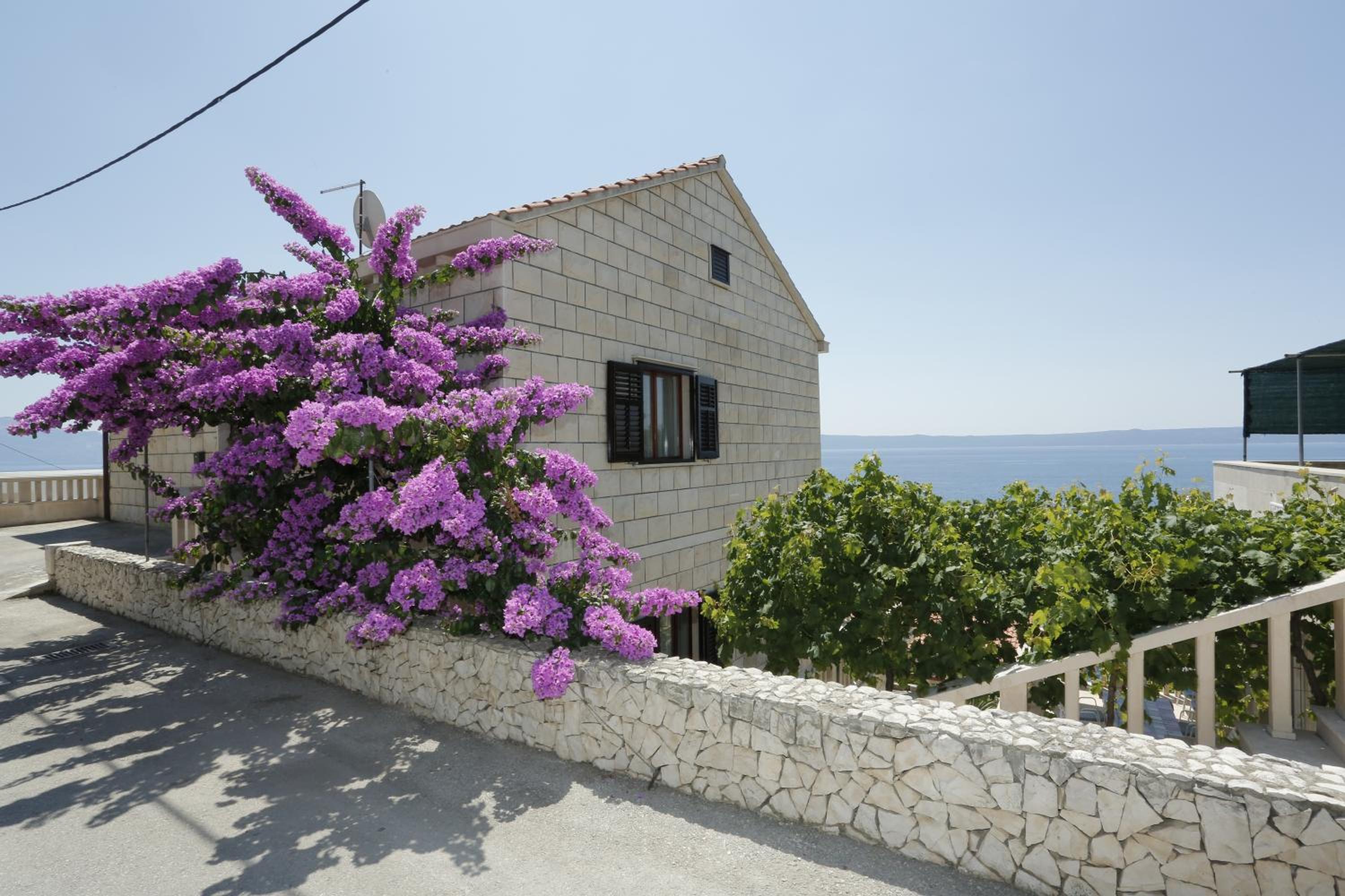 Villa Mošić view 5