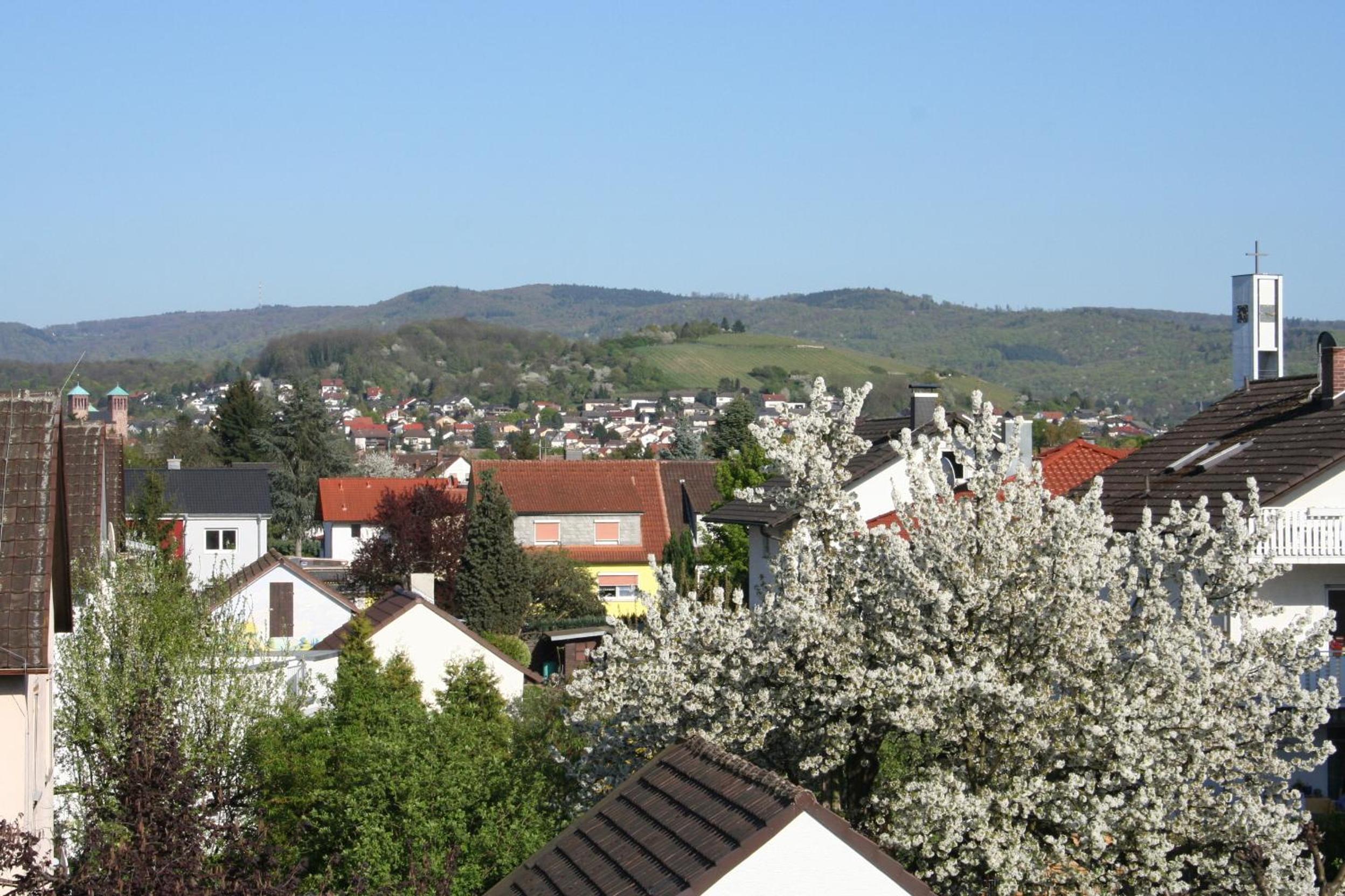other