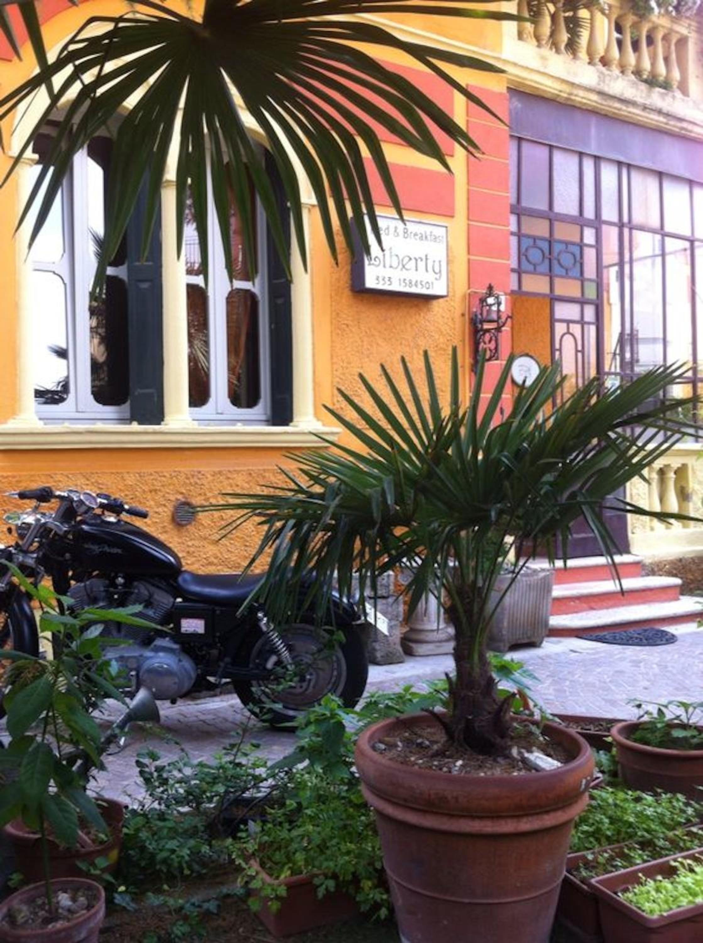Photo 12