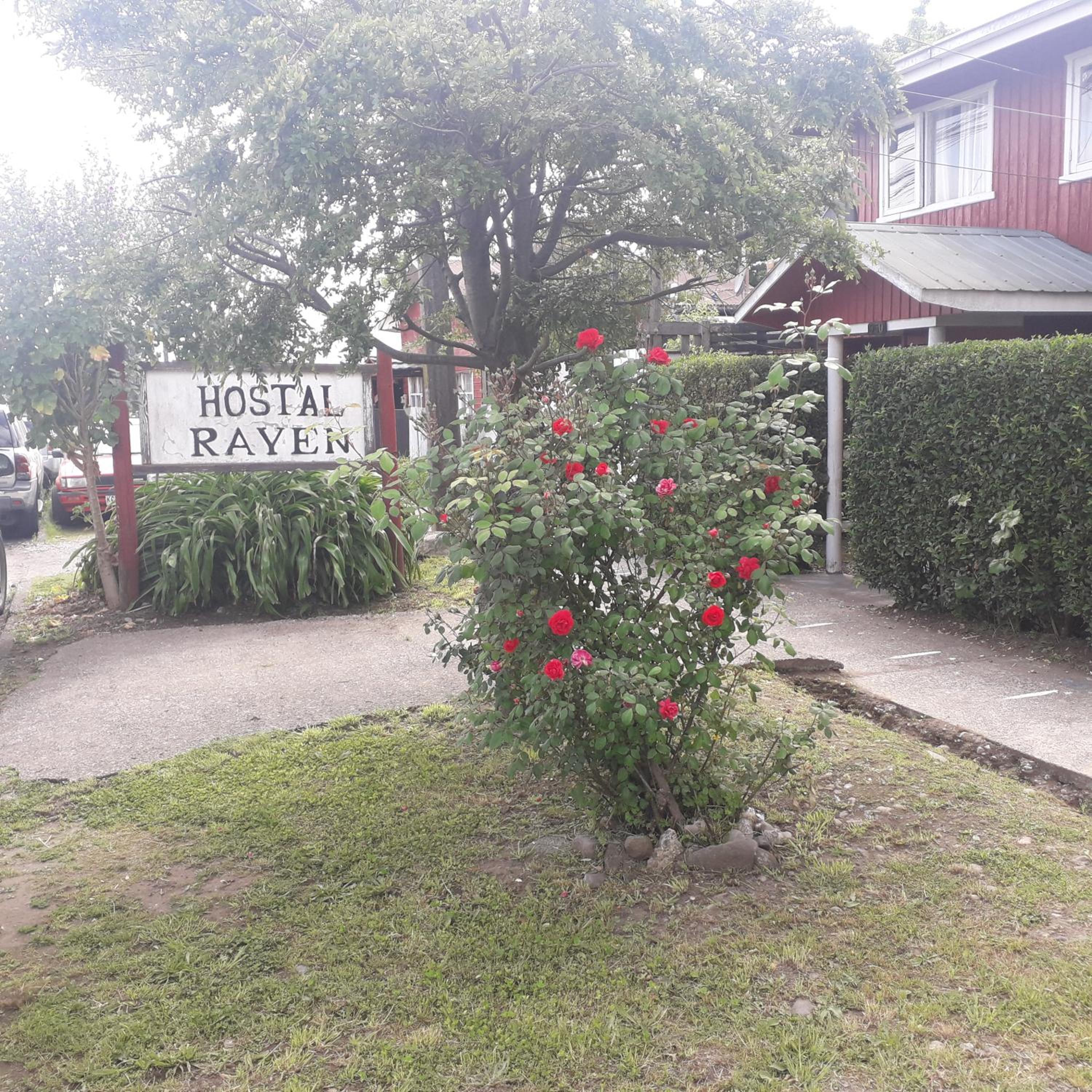 Hostal Rayen, photo 20