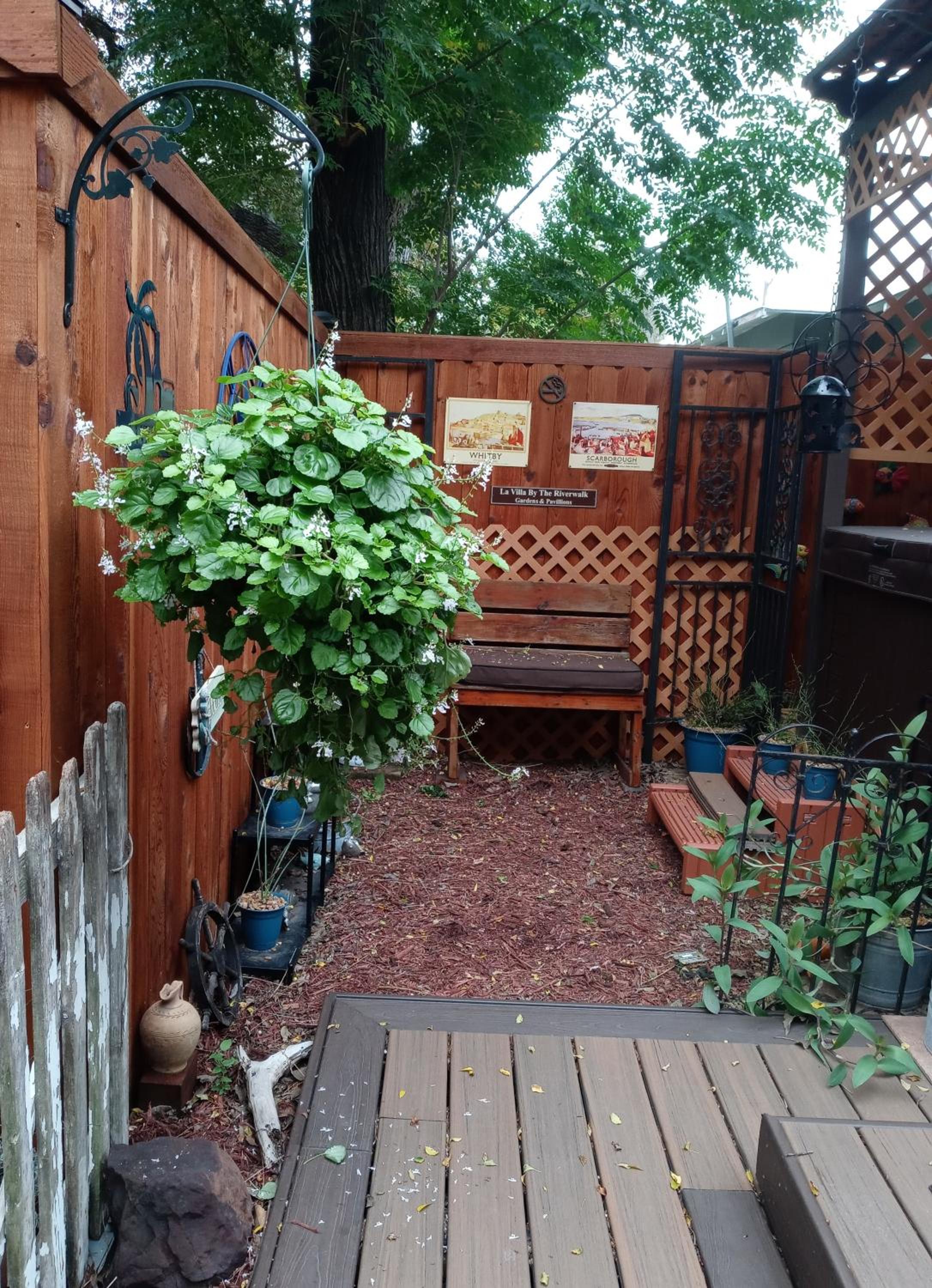 Photo 42