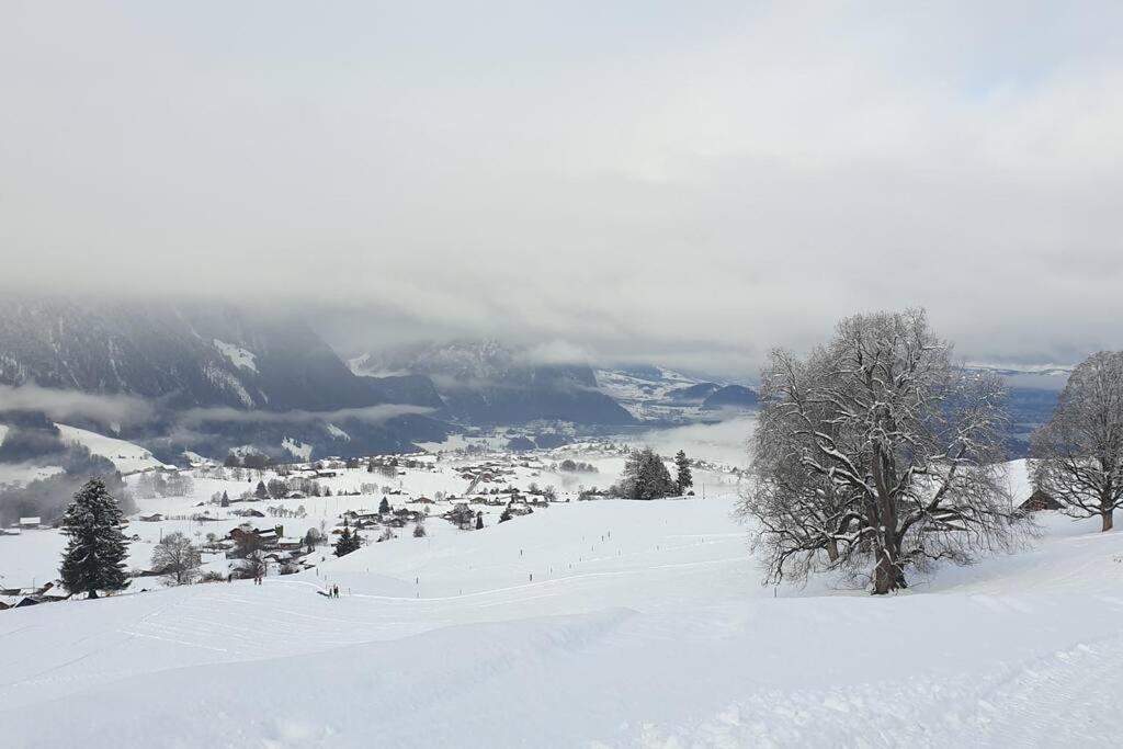 WHITE HOME IN AESCHI BEI SPIEZ