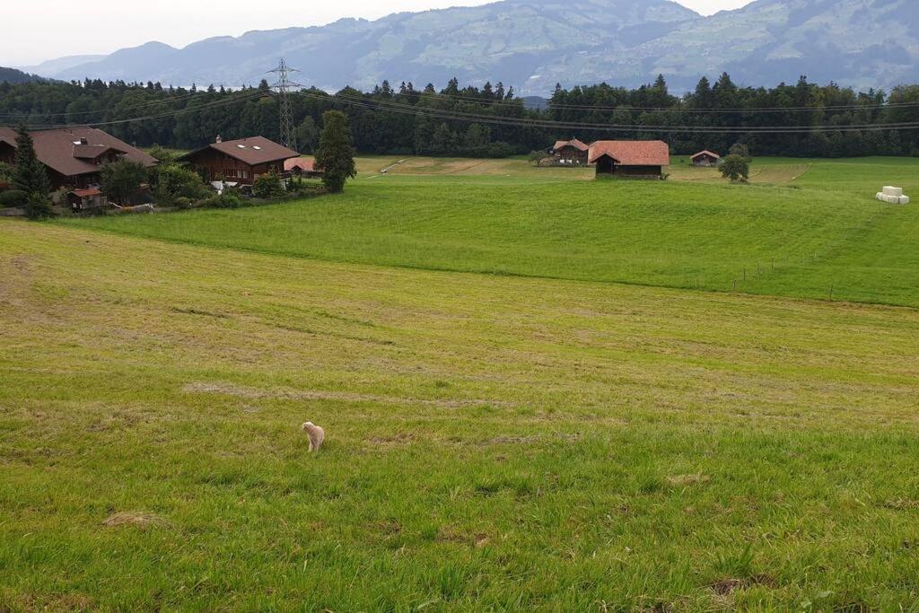 WHITE HOME IN AESCHI BEI SPIEZ
