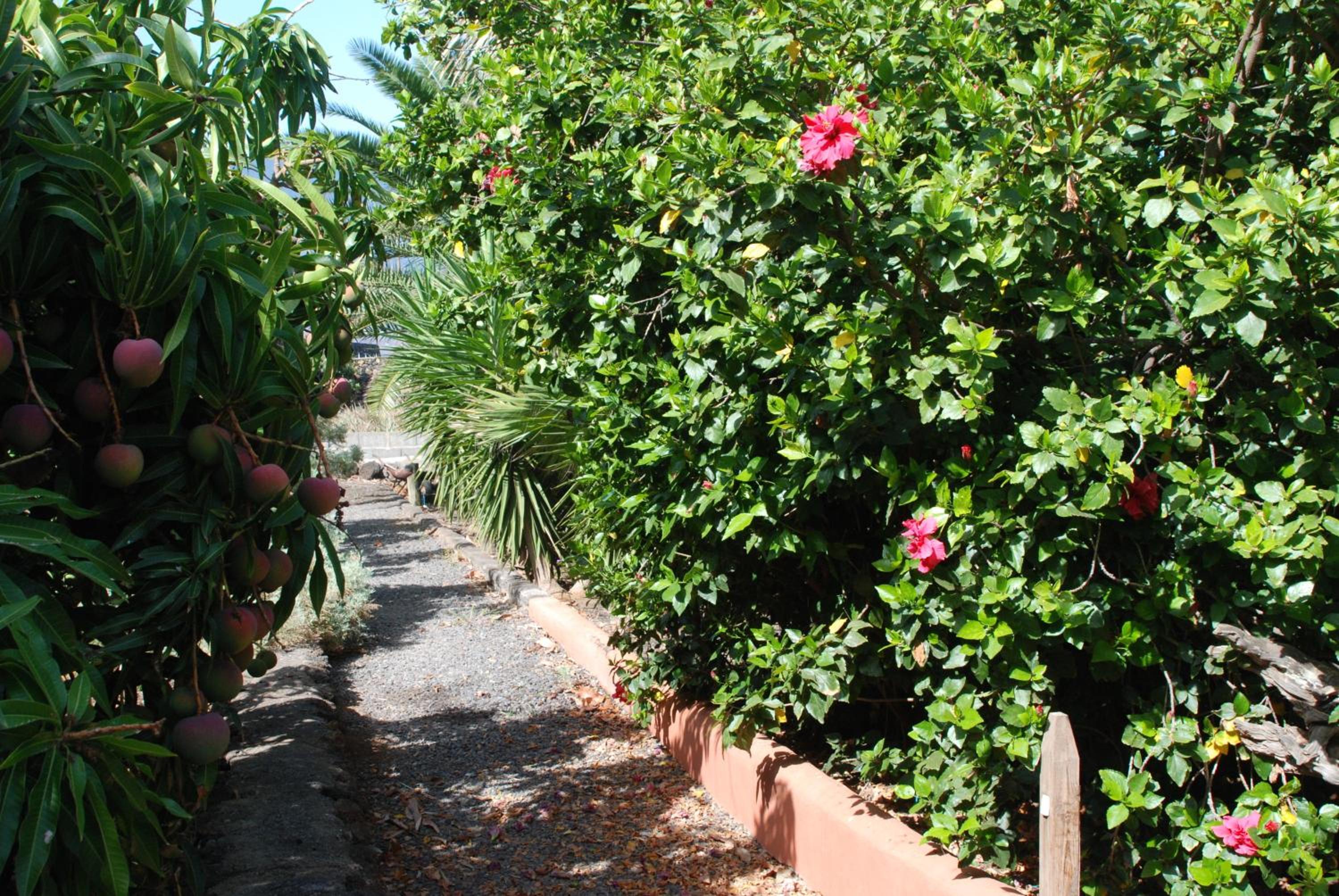Apartamentos Finca Wapa