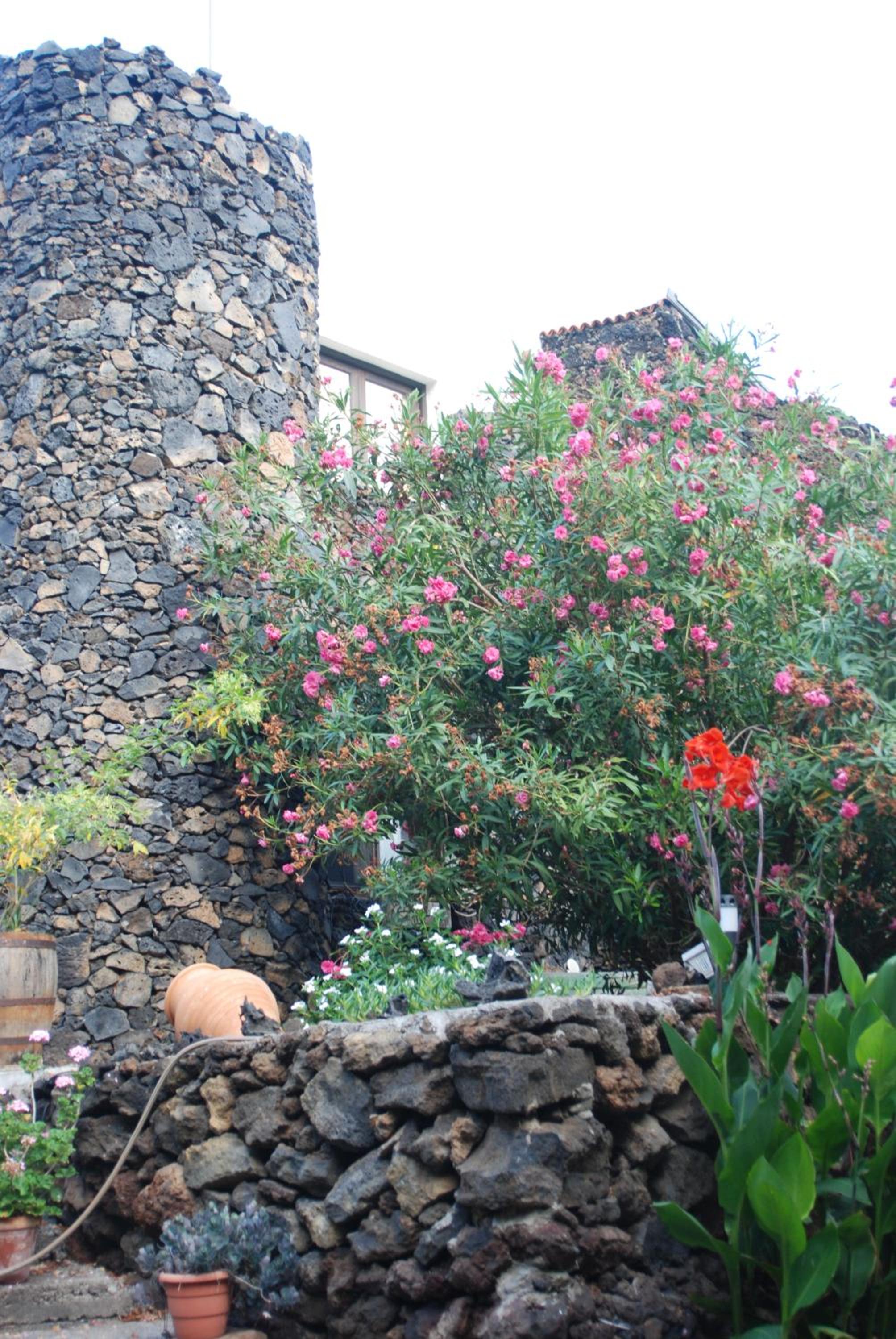 Apartamentos Finca Wapa