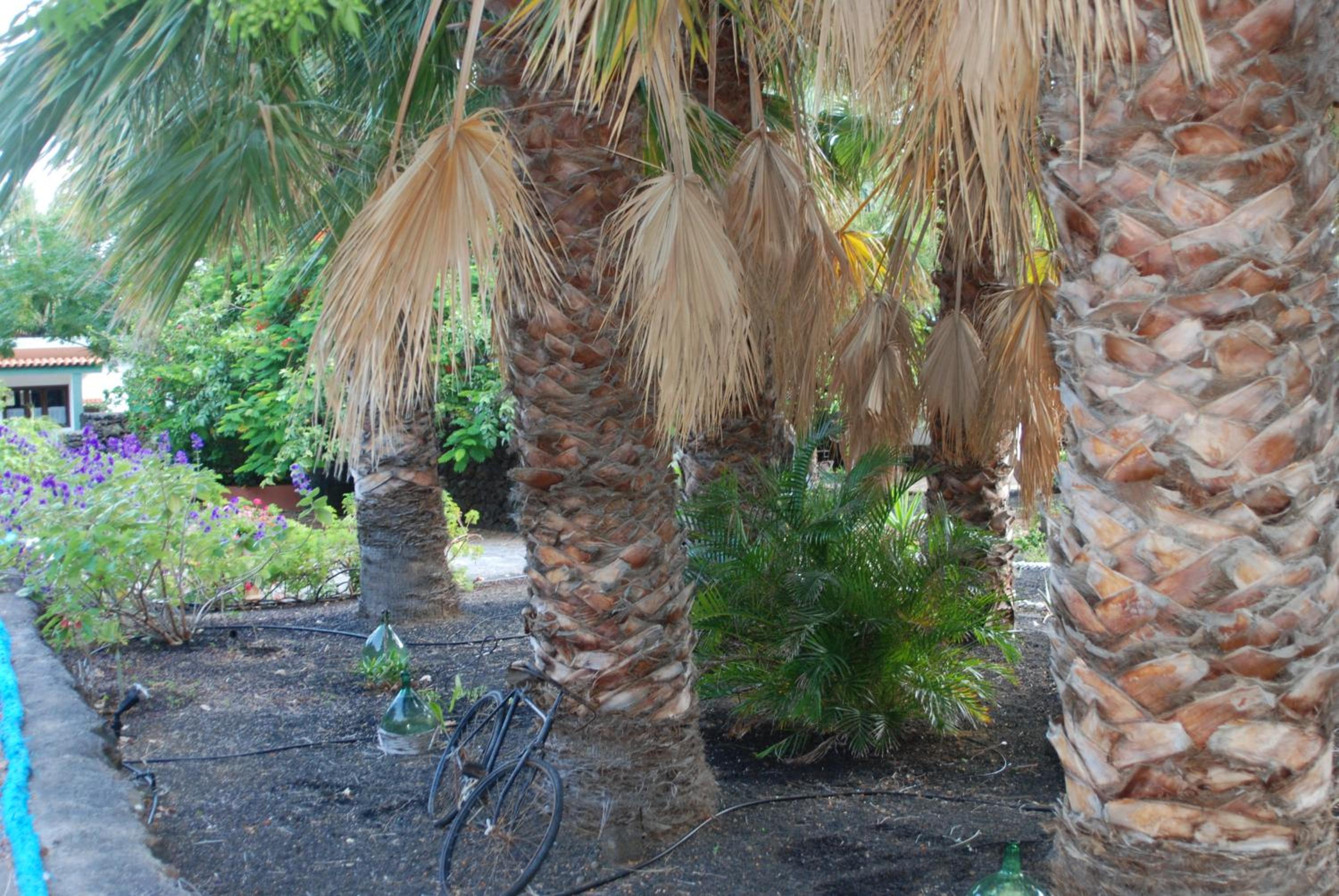 Apartamentos Finca Wapa