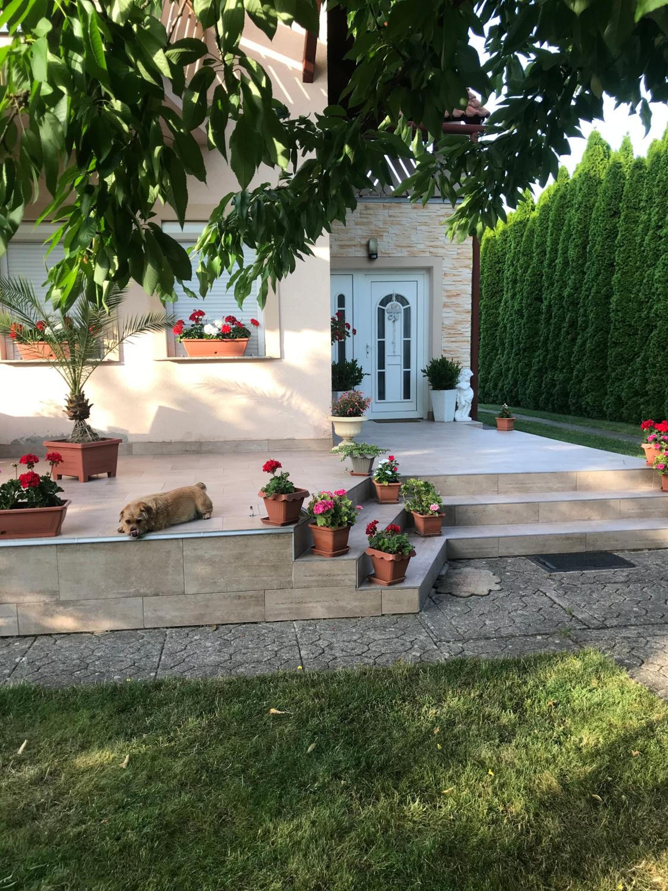 Photo 26