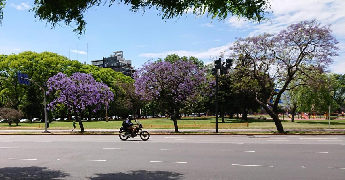 Departamento en Palermo a 100 metros de Avenida Libertador y 500 metros de Plaza Italia