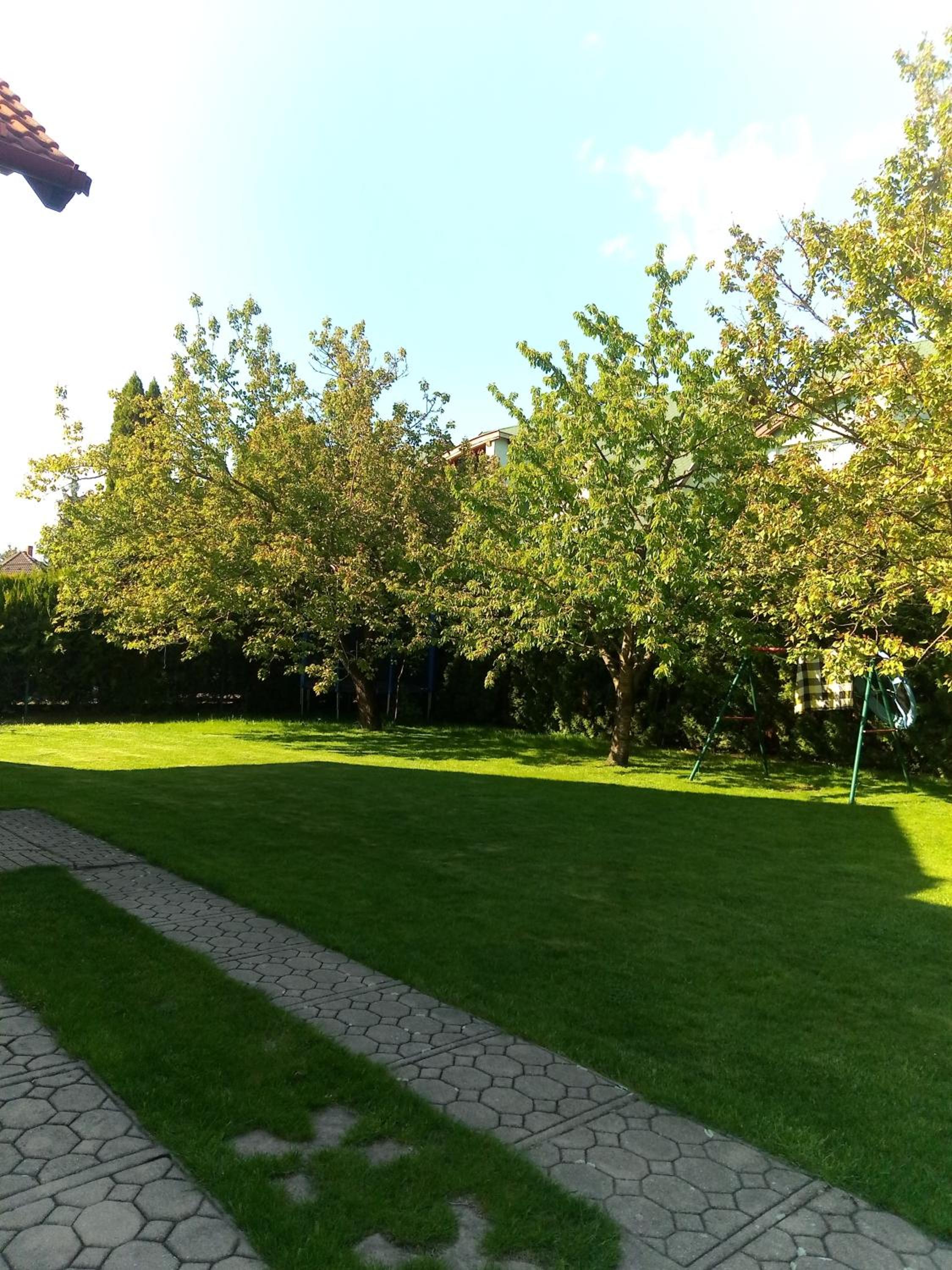 Photo 38
