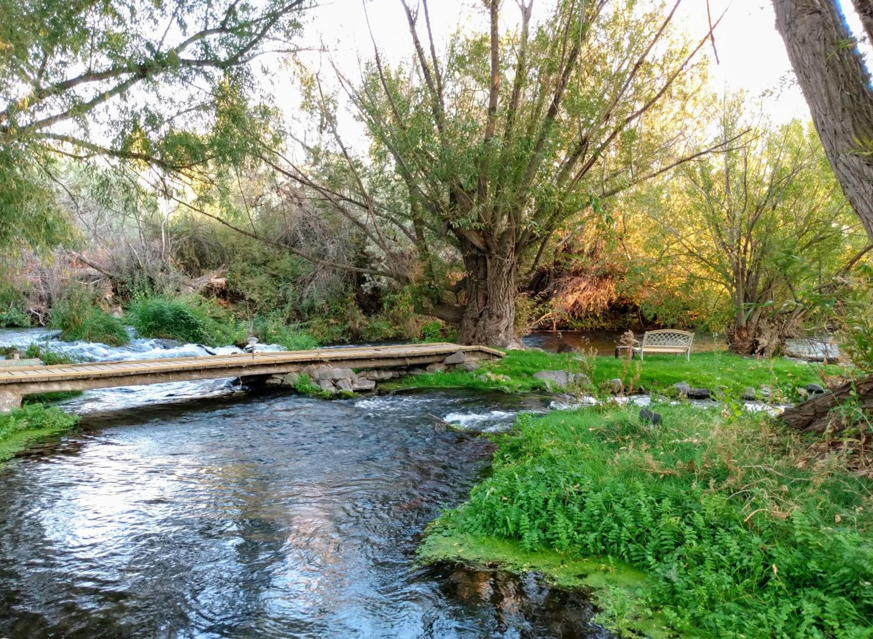 Billingsley Creek