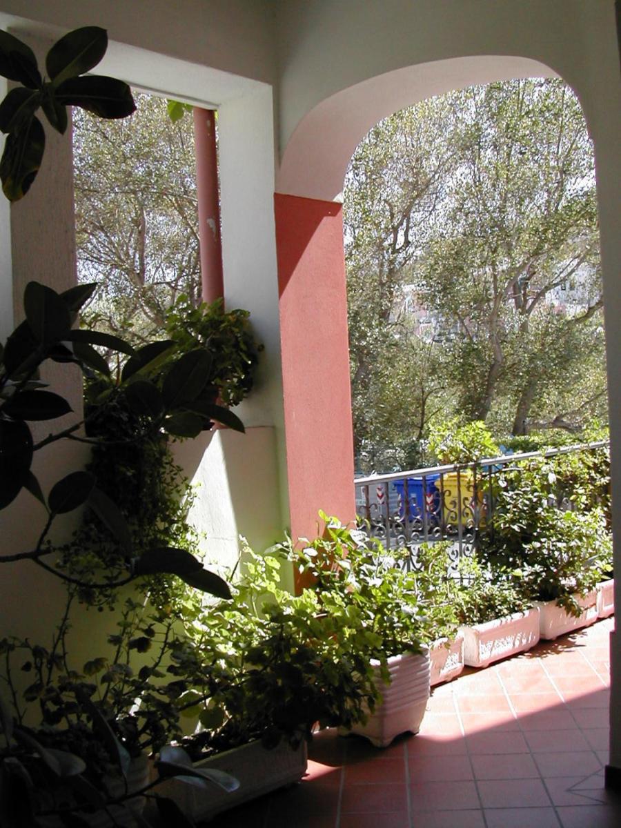 Photo 45