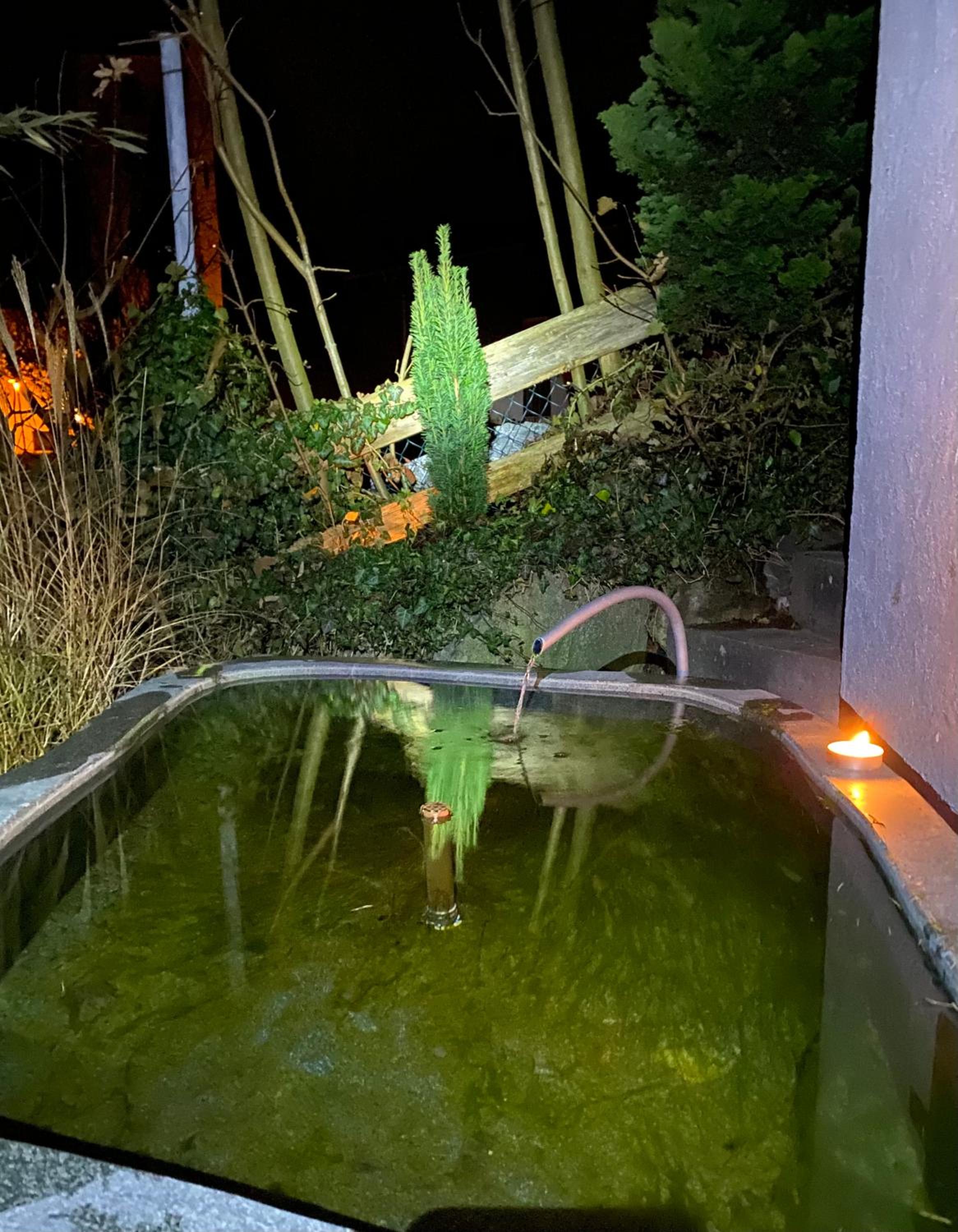 Pia's Nature Retreat