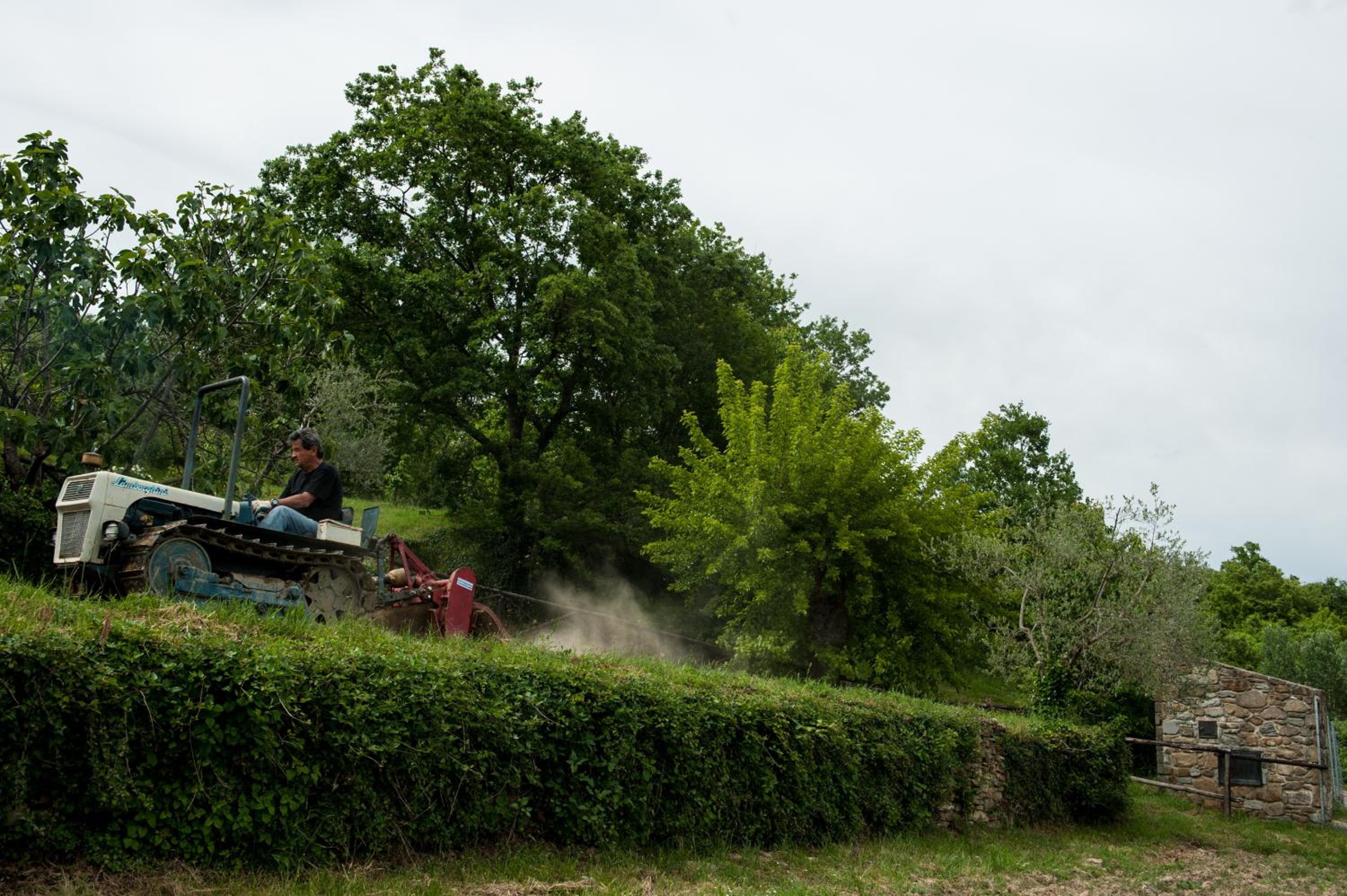 Agriturismo Azienda Agricola Il Pozzo