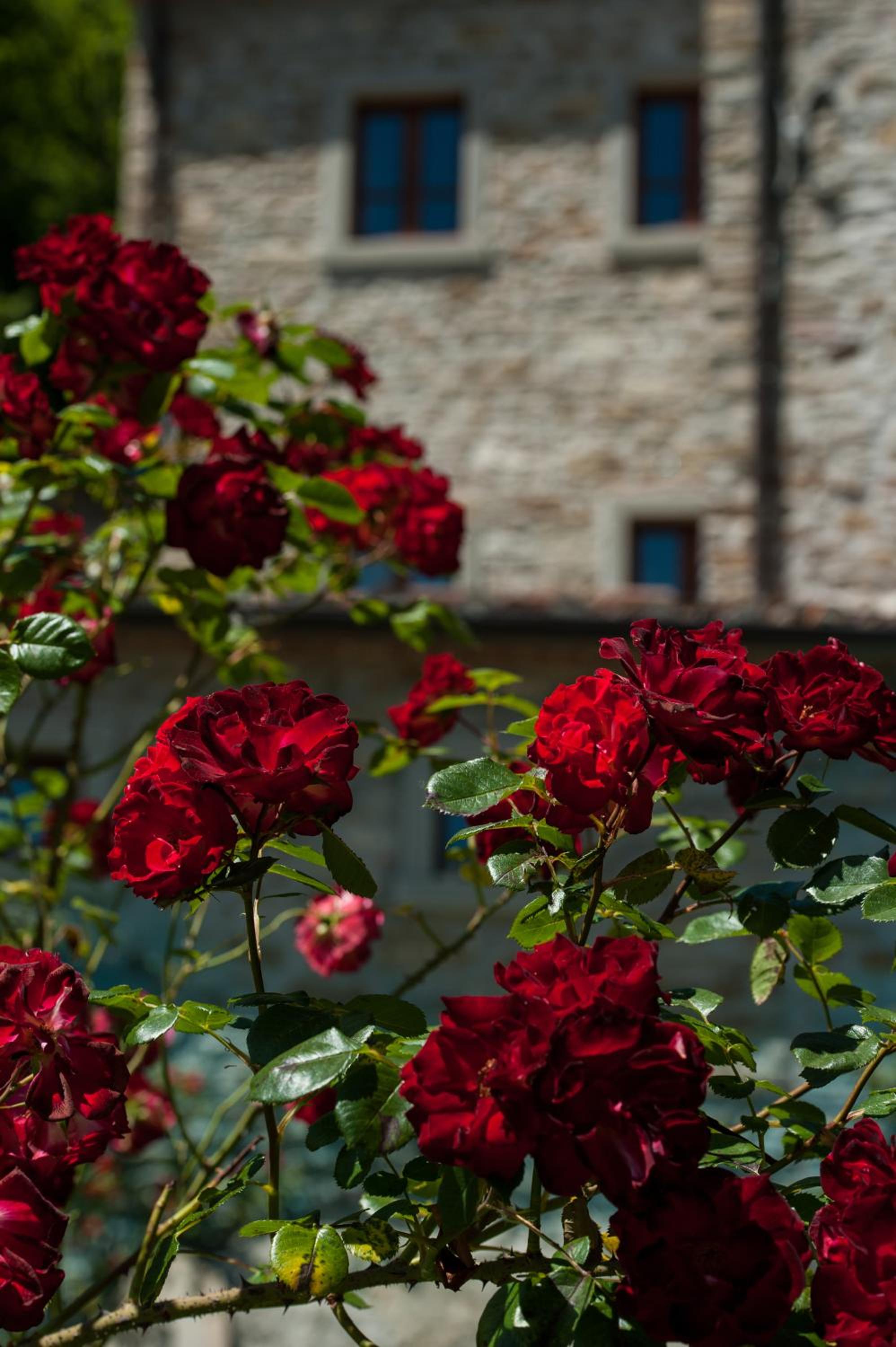Agriturismo Azienda Agricola Il Pozzo