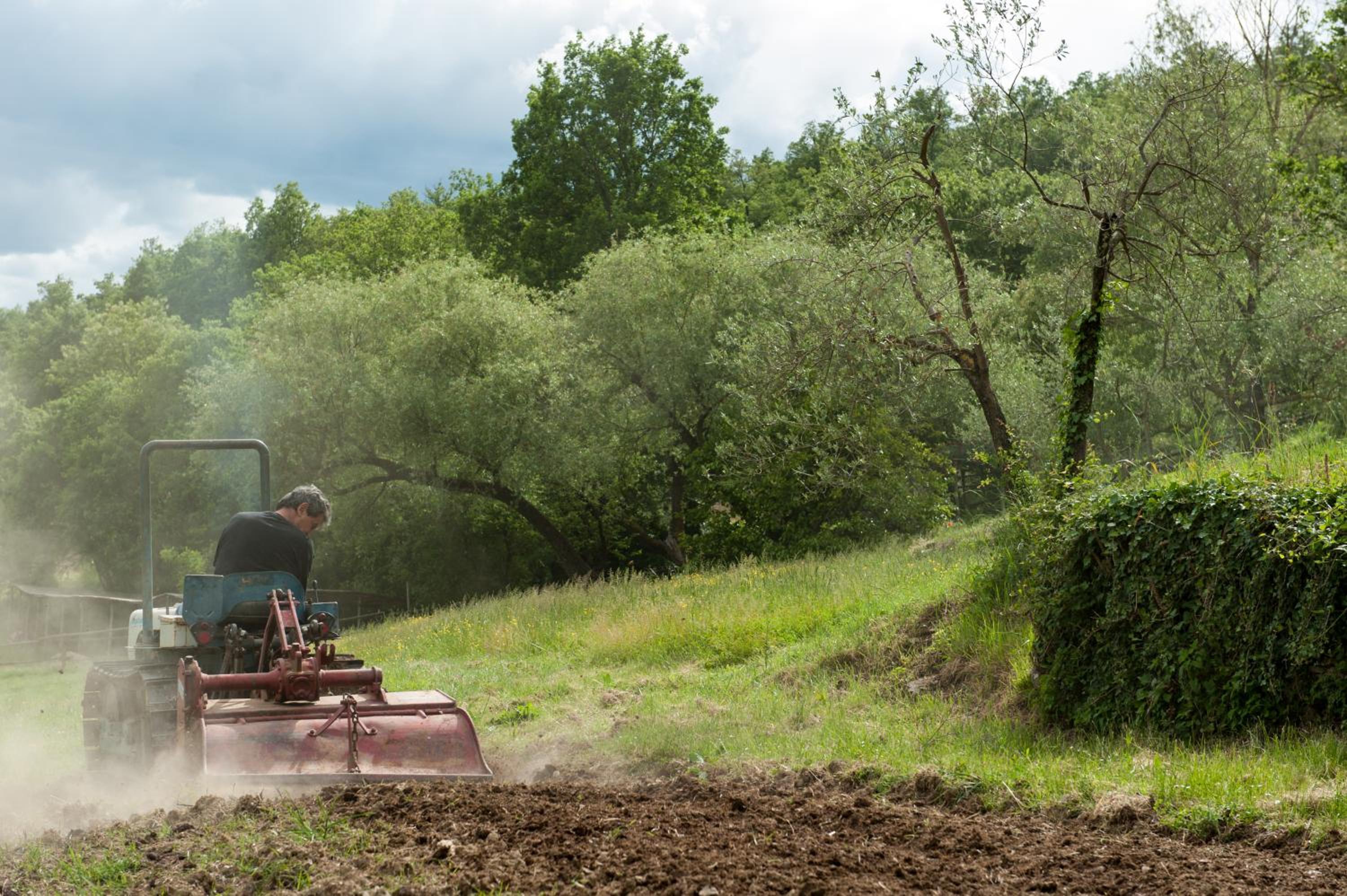 Agriturismo Azienda Agricola Il Pozzo