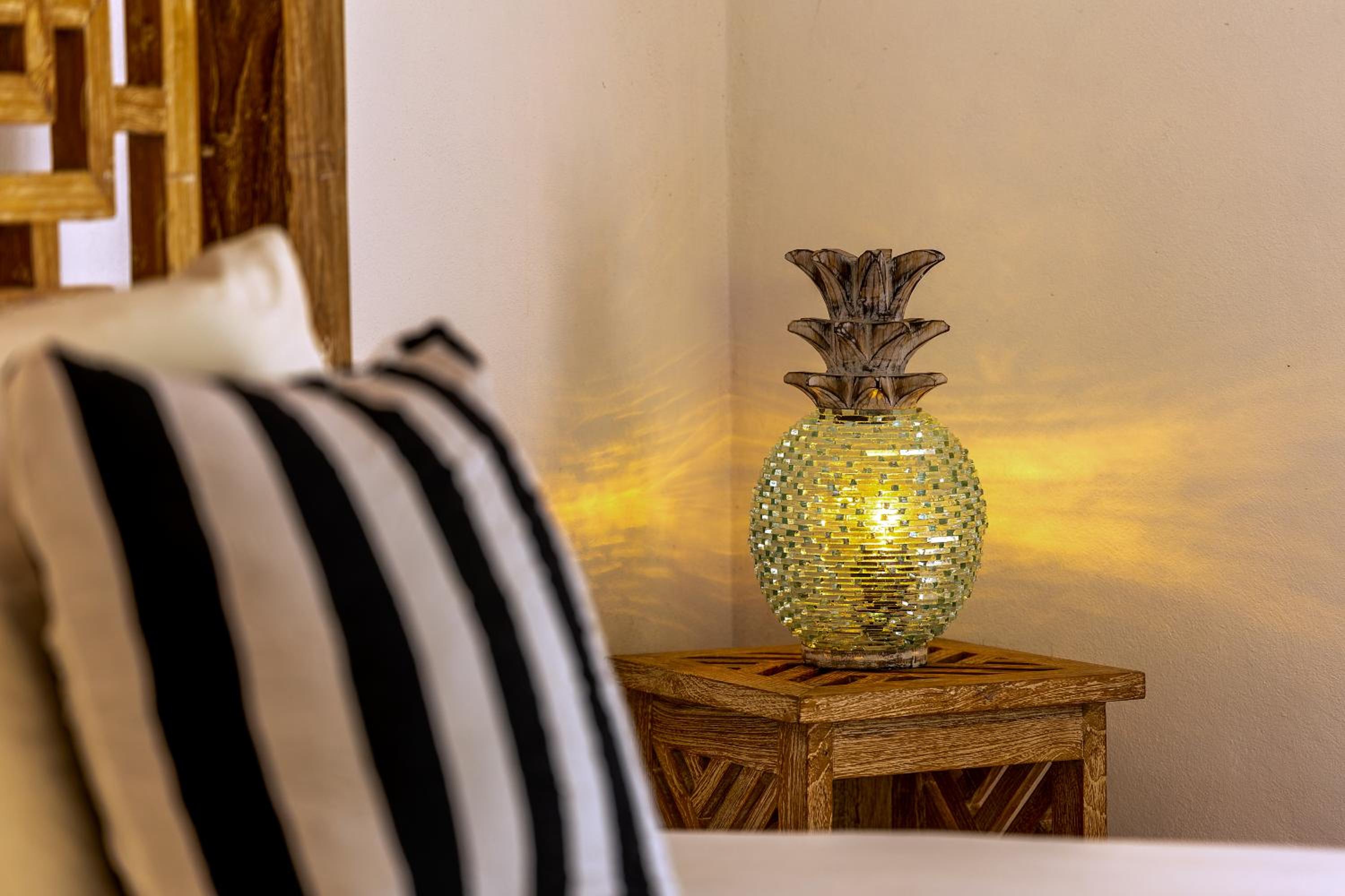Pineapple house Manzanillo